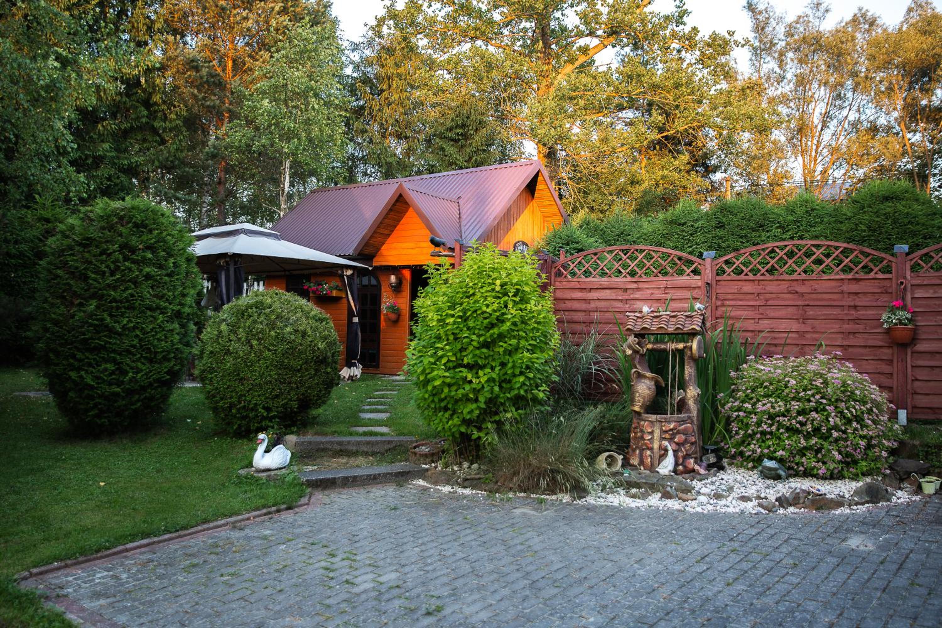 Photo 11