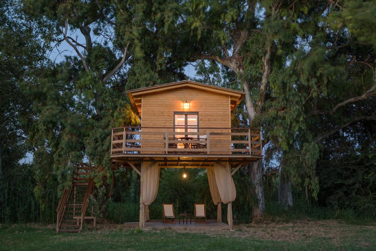 River TreeHouse photo 3