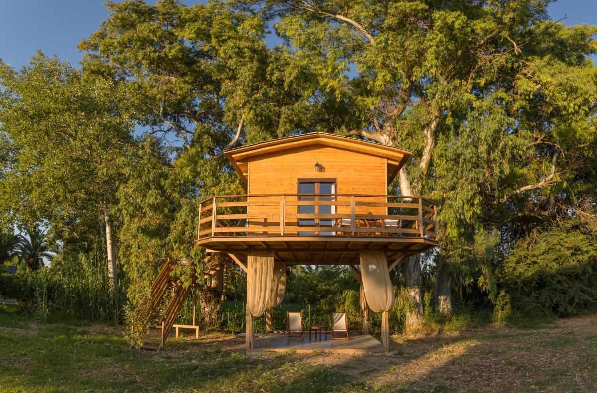 River TreeHouse photo 2