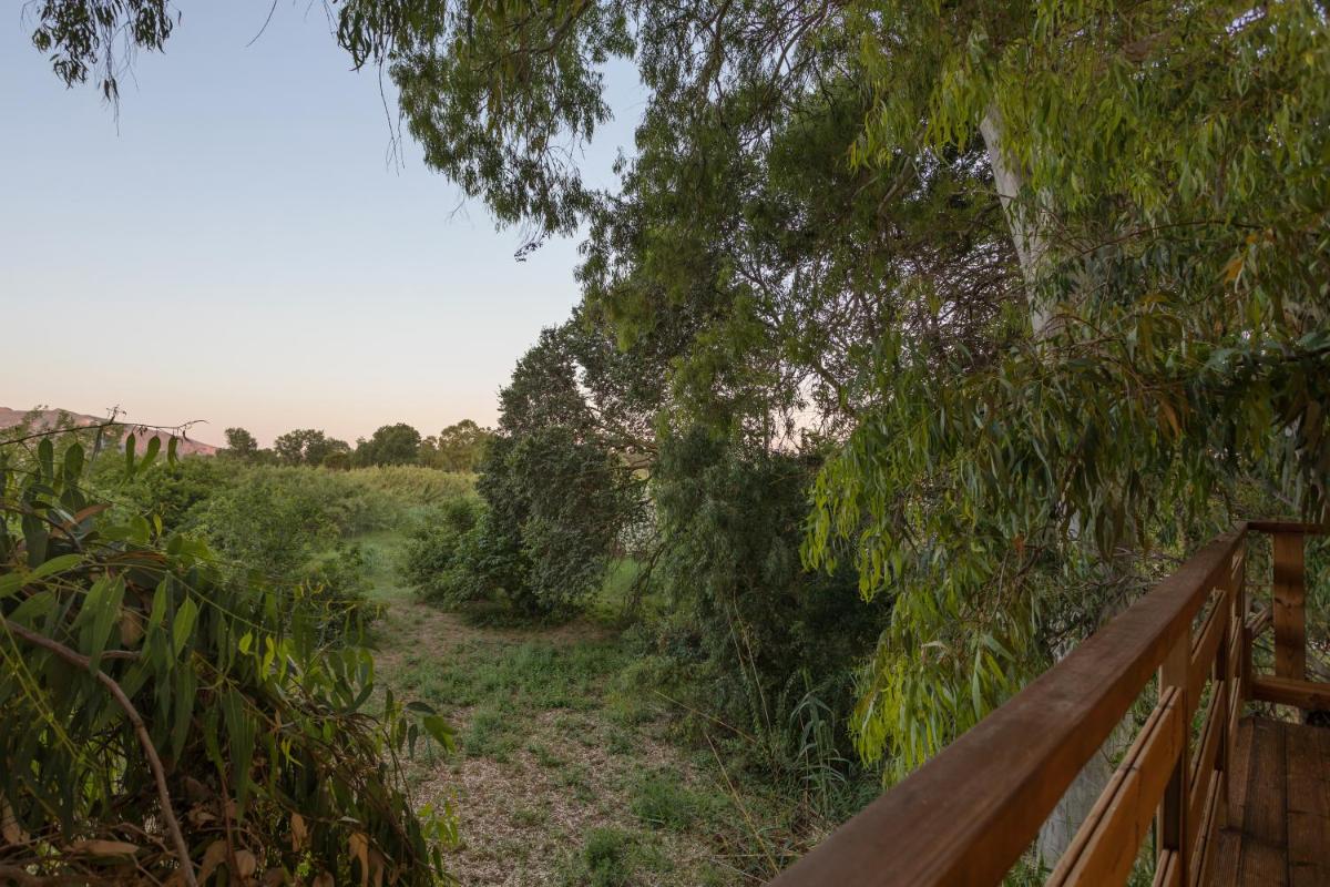 River TreeHouse photo 5