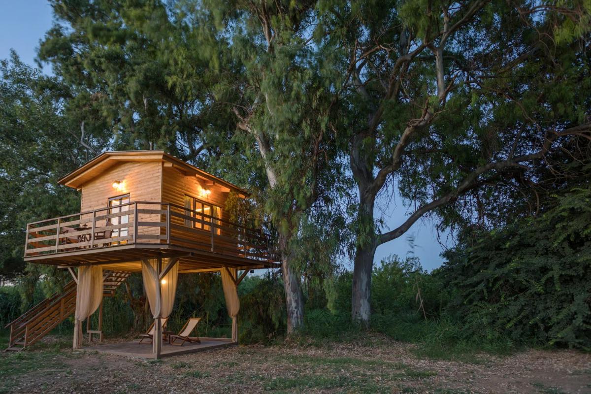 River TreeHouse photo 4