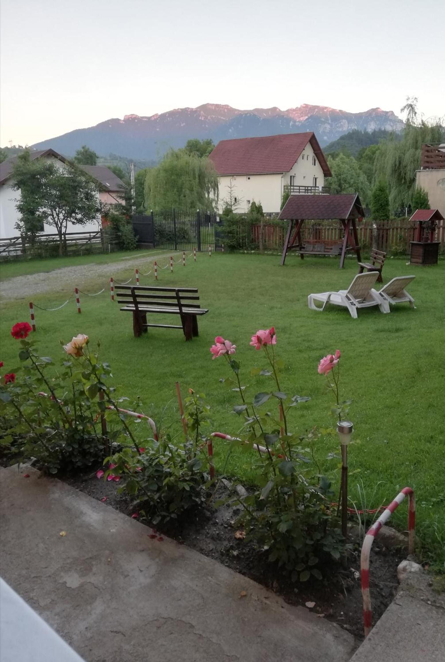 Photo 43
