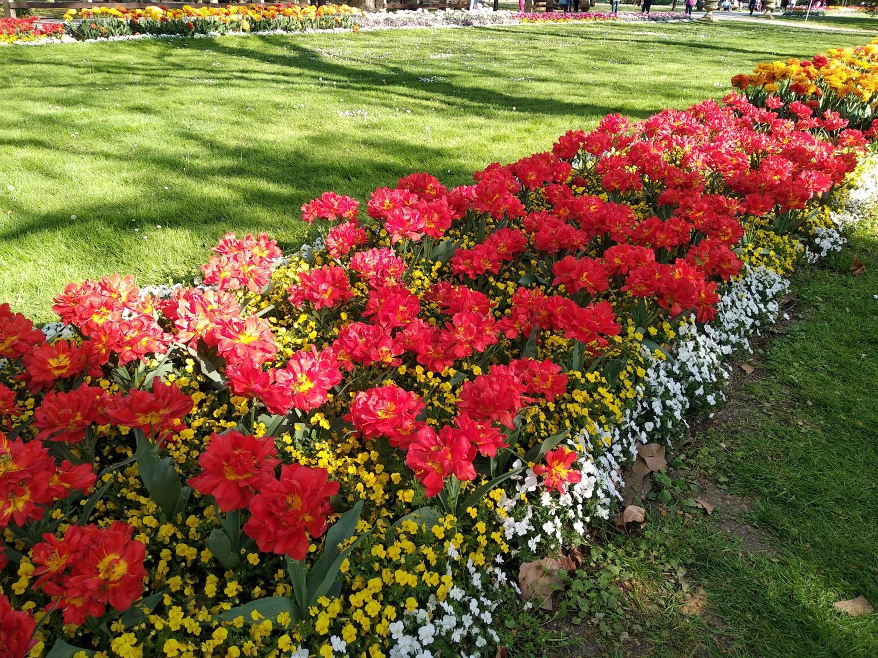 Photo 27