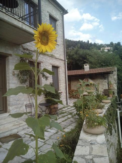 To Archontiko tis Marias view 4