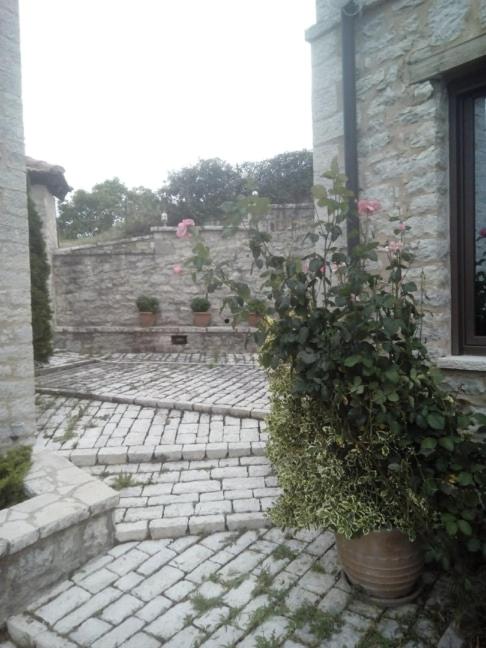 To Archontiko tis Marias view 5
