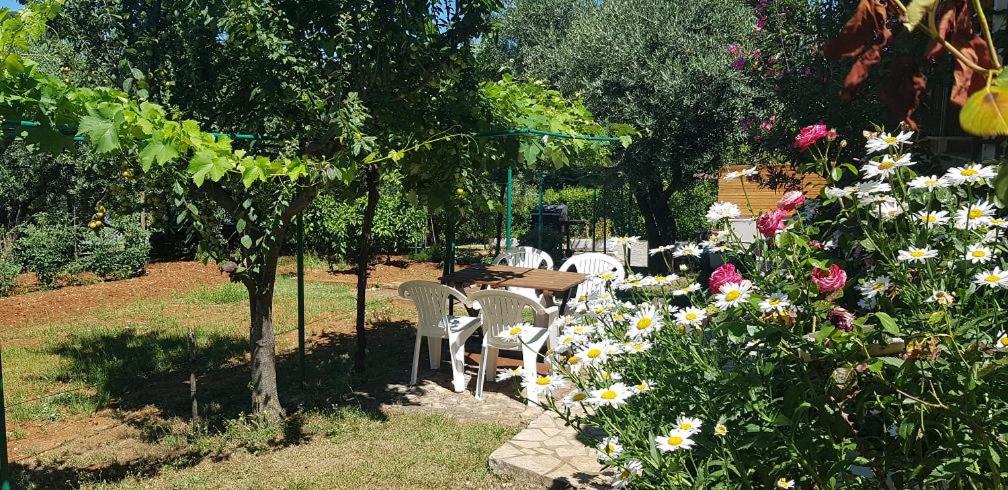 Appartamenti Clara - Property Image 9