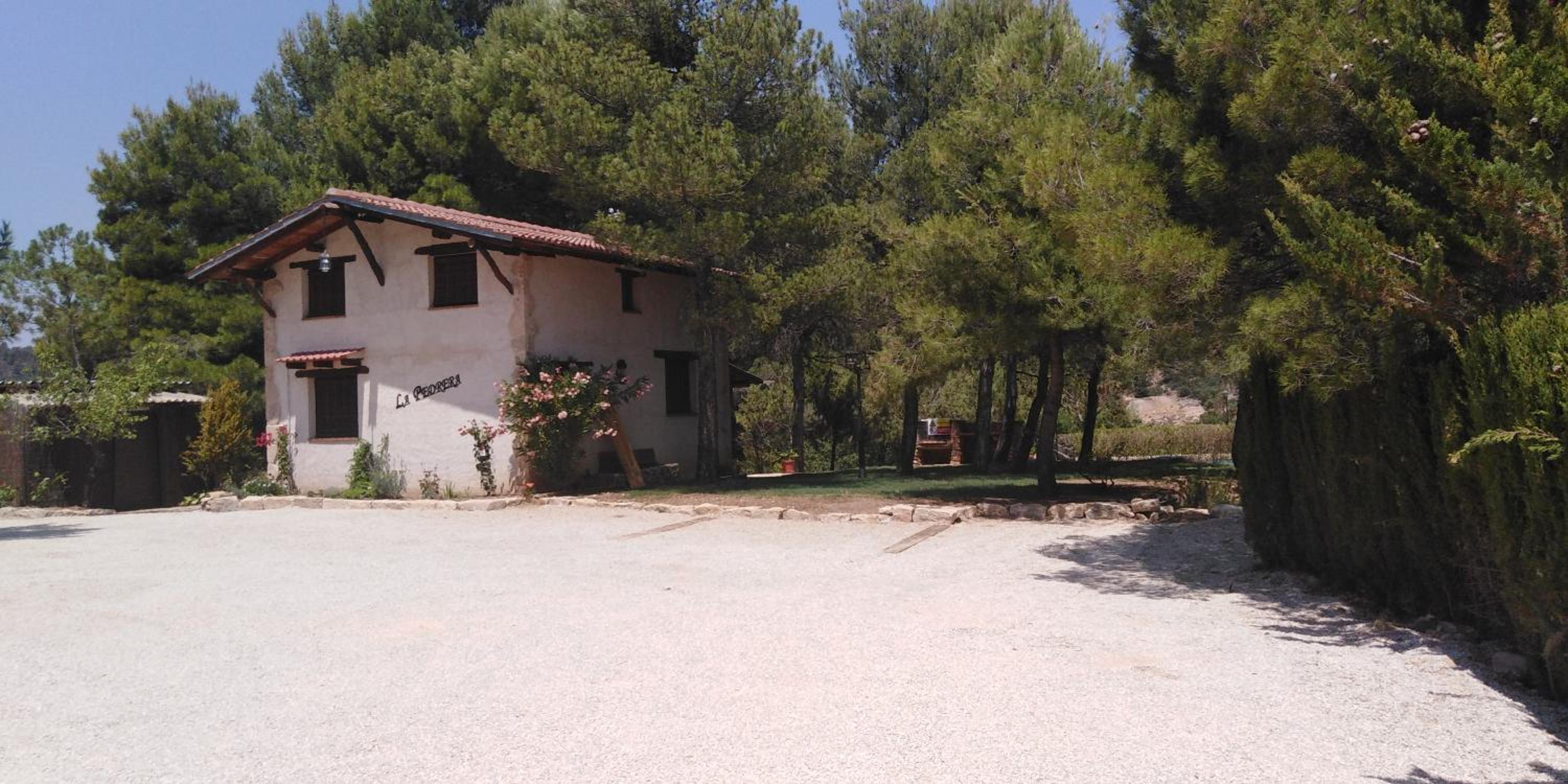 Photo 21