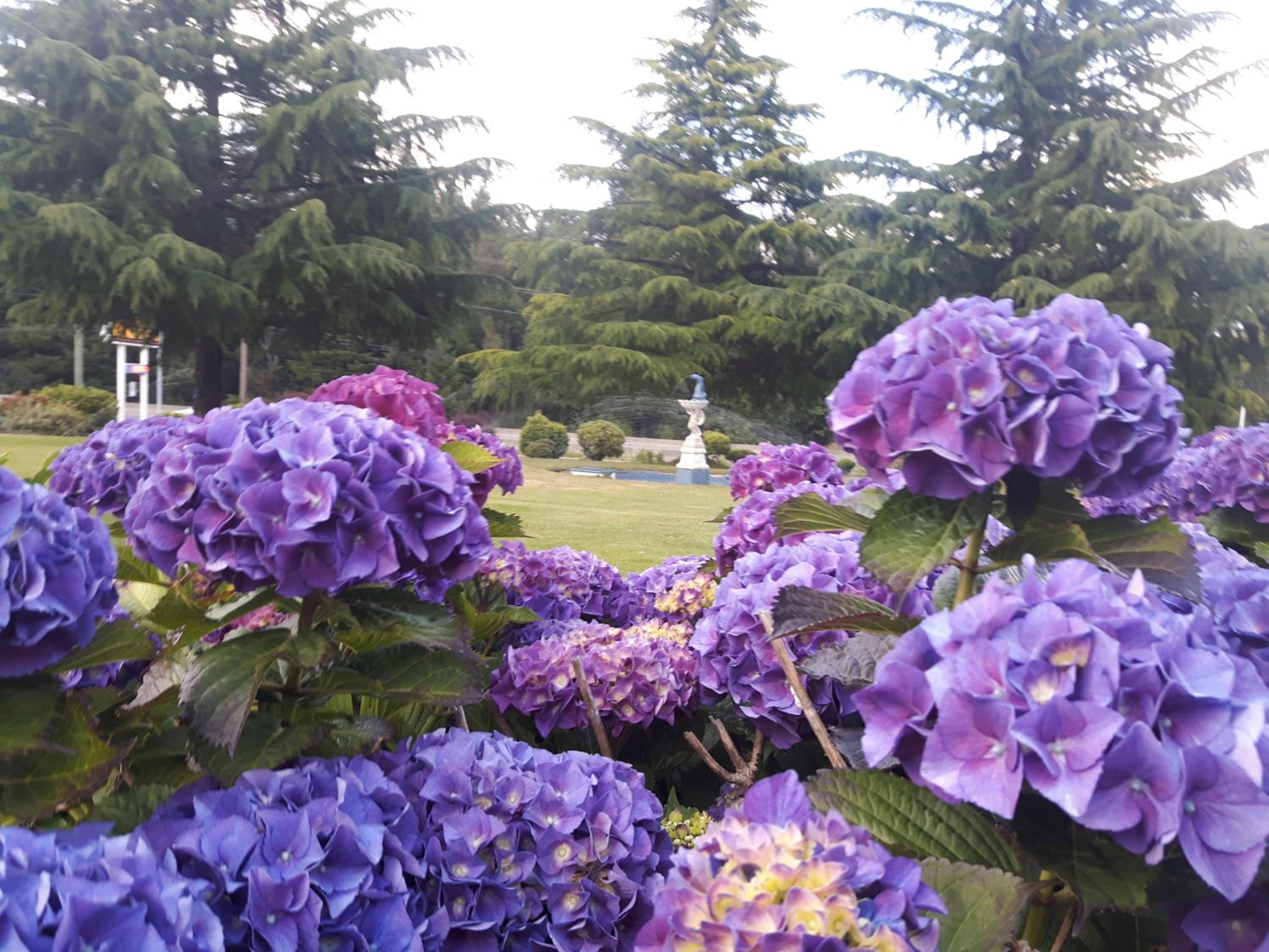 Fuller Lake Chemainus Motel
