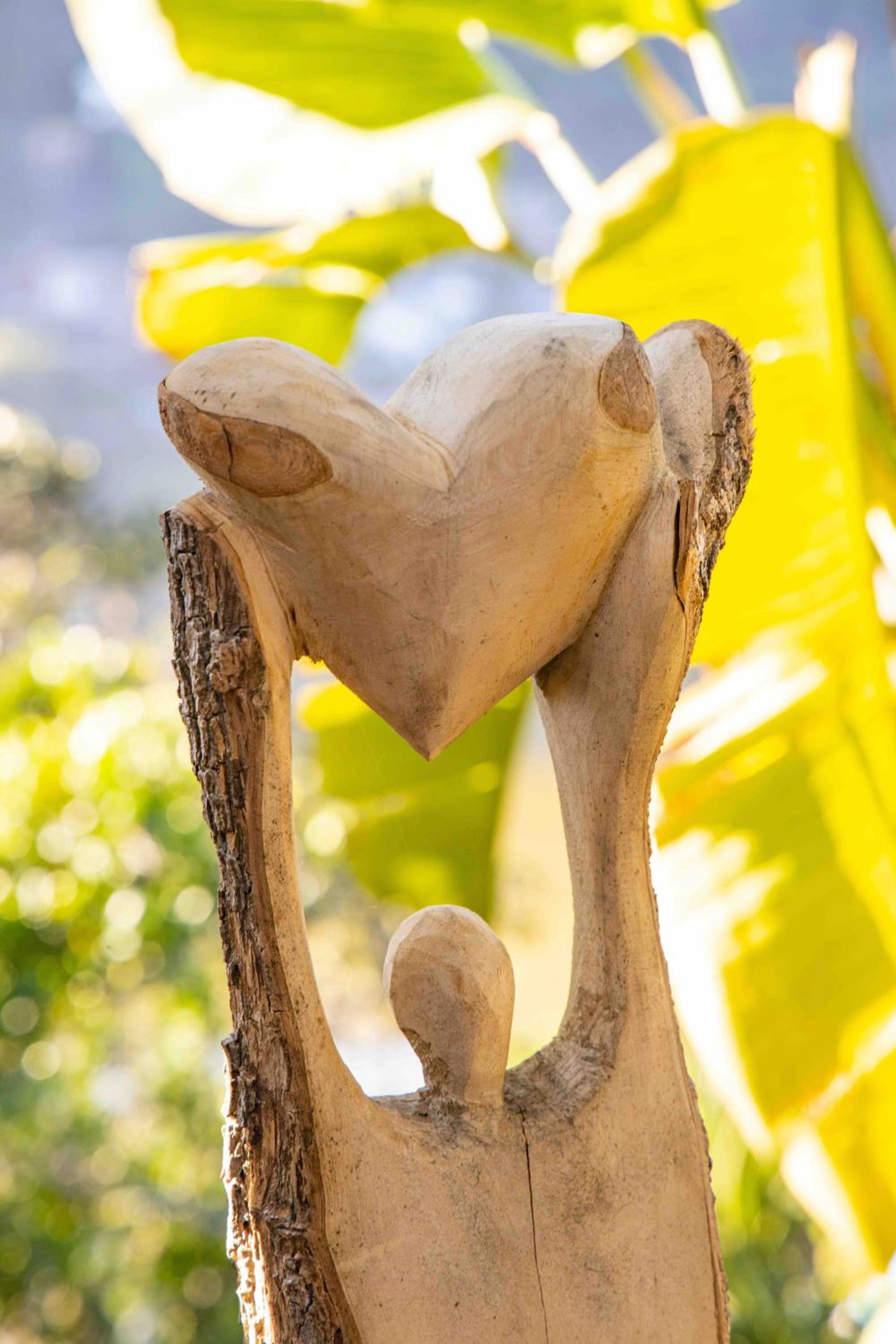 Villa Sol - Wilderness, photo 9