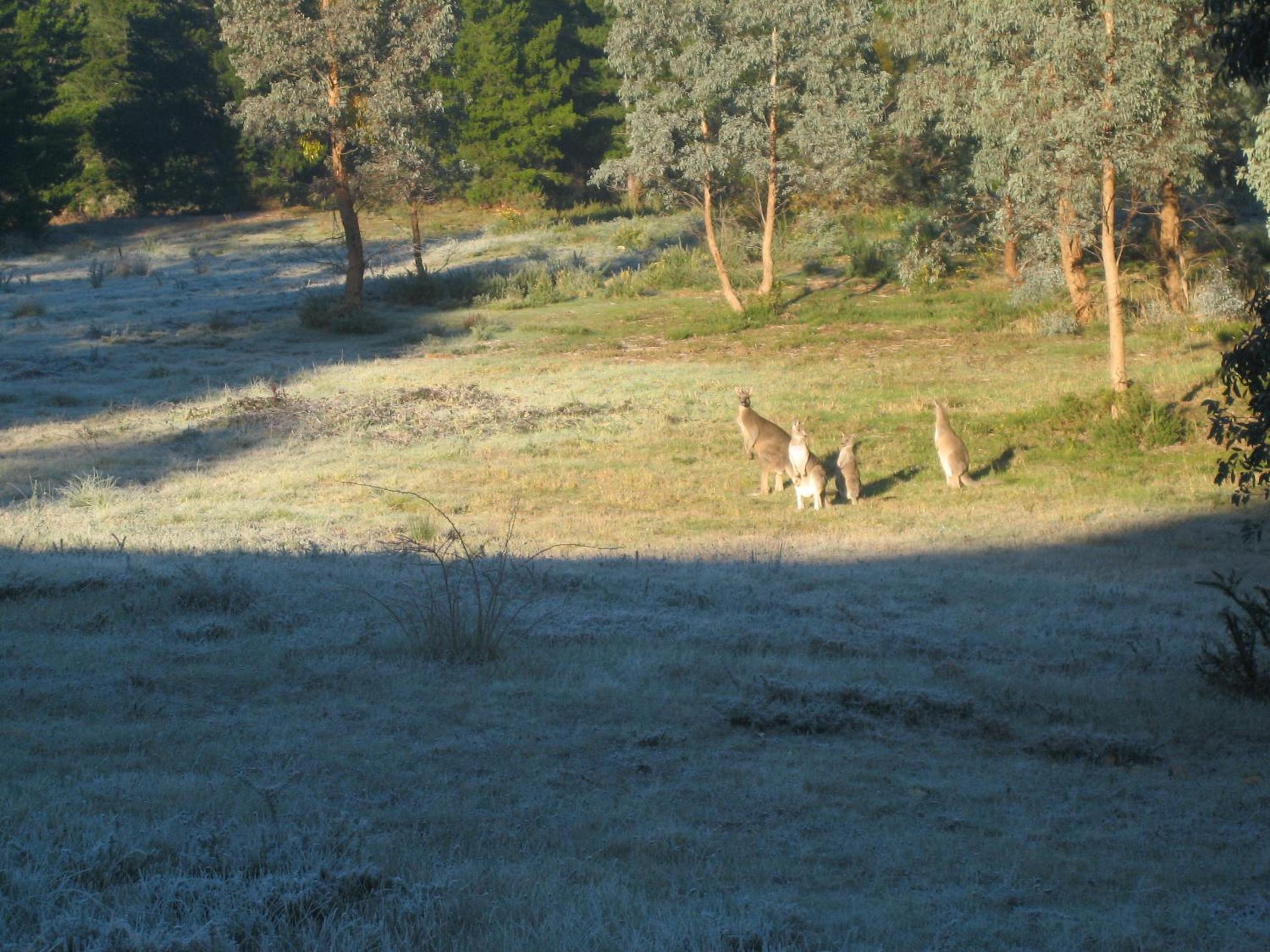 Riversdale Retreat