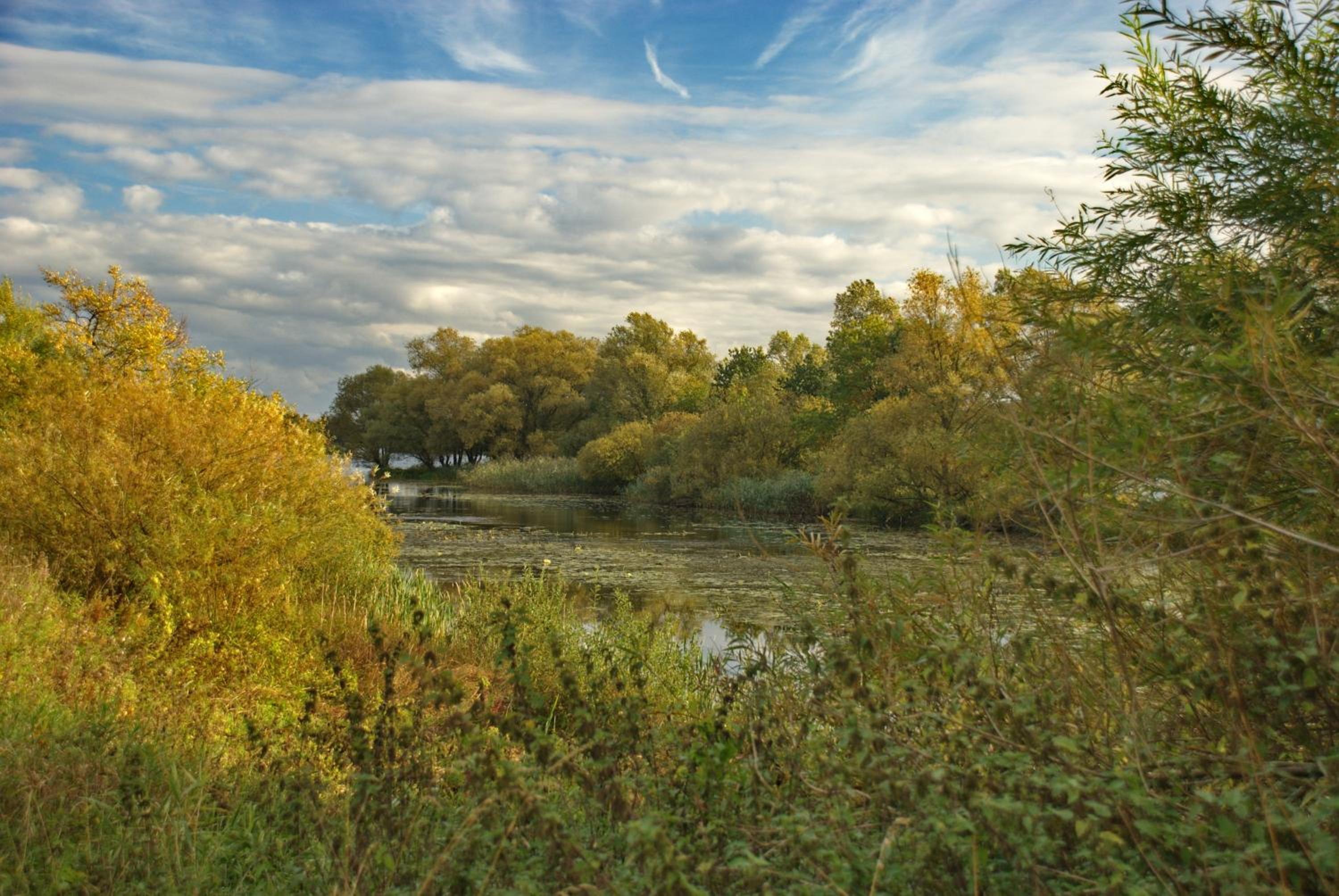 Photo 46