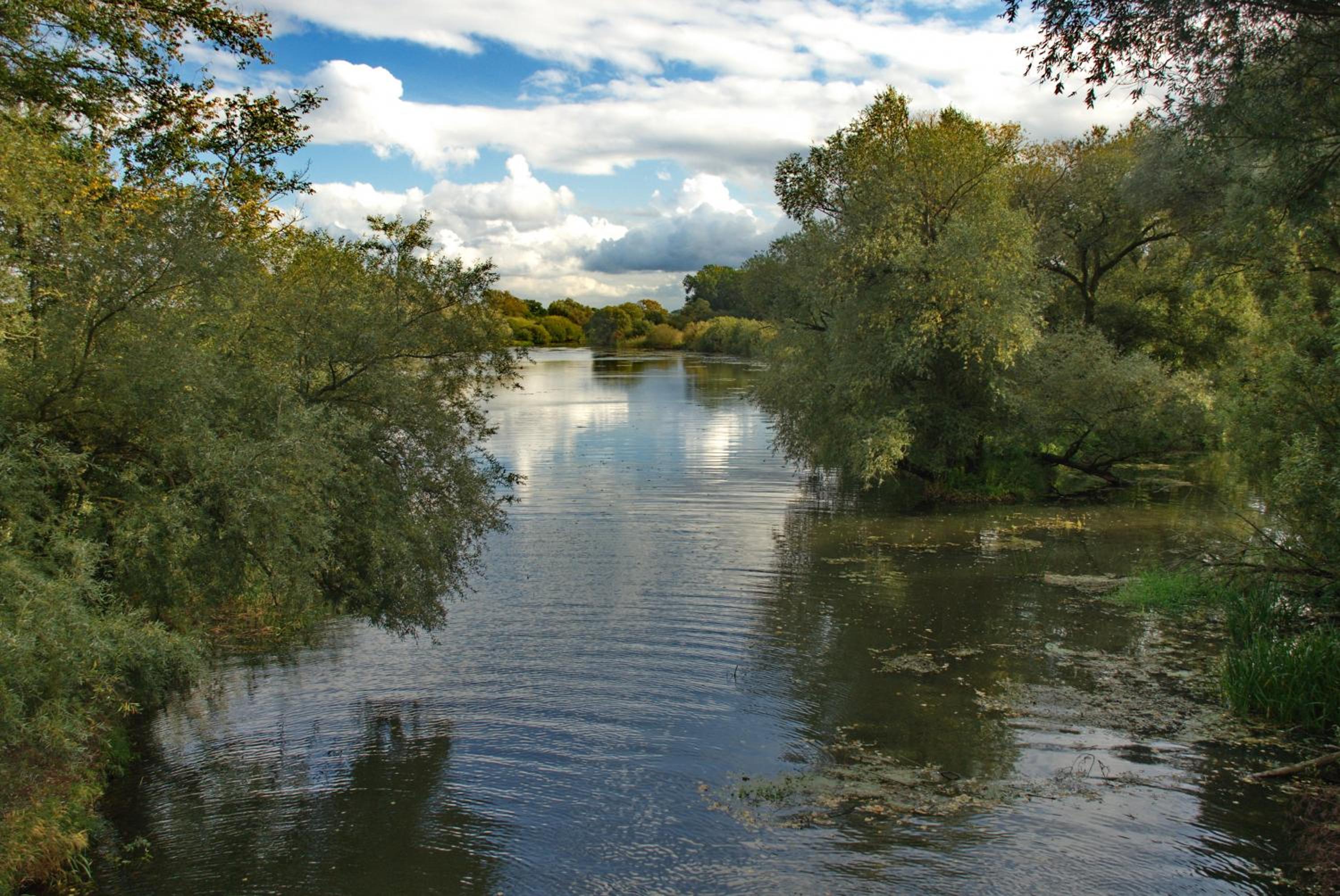 Photo 36