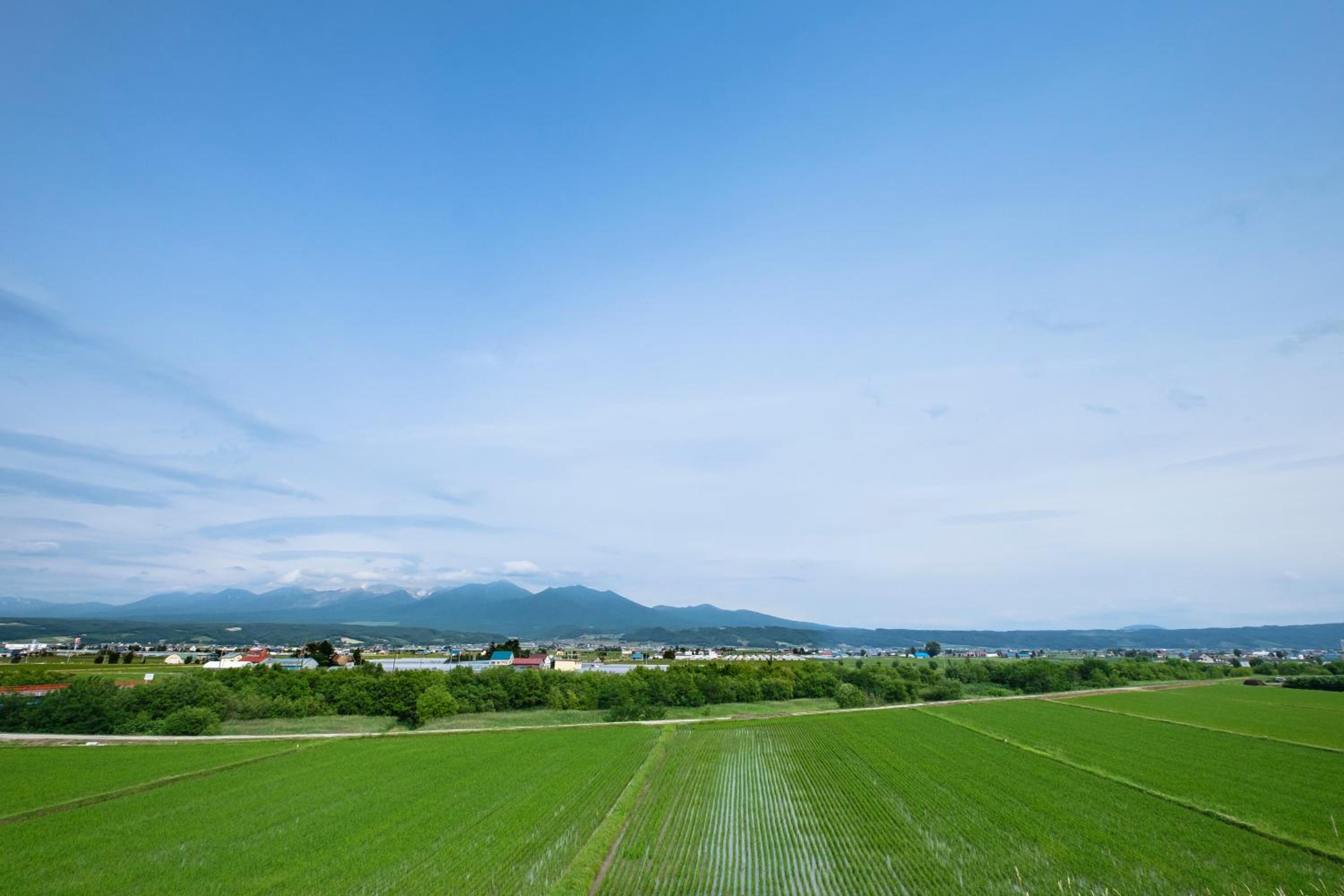 Furano Lookout view 4