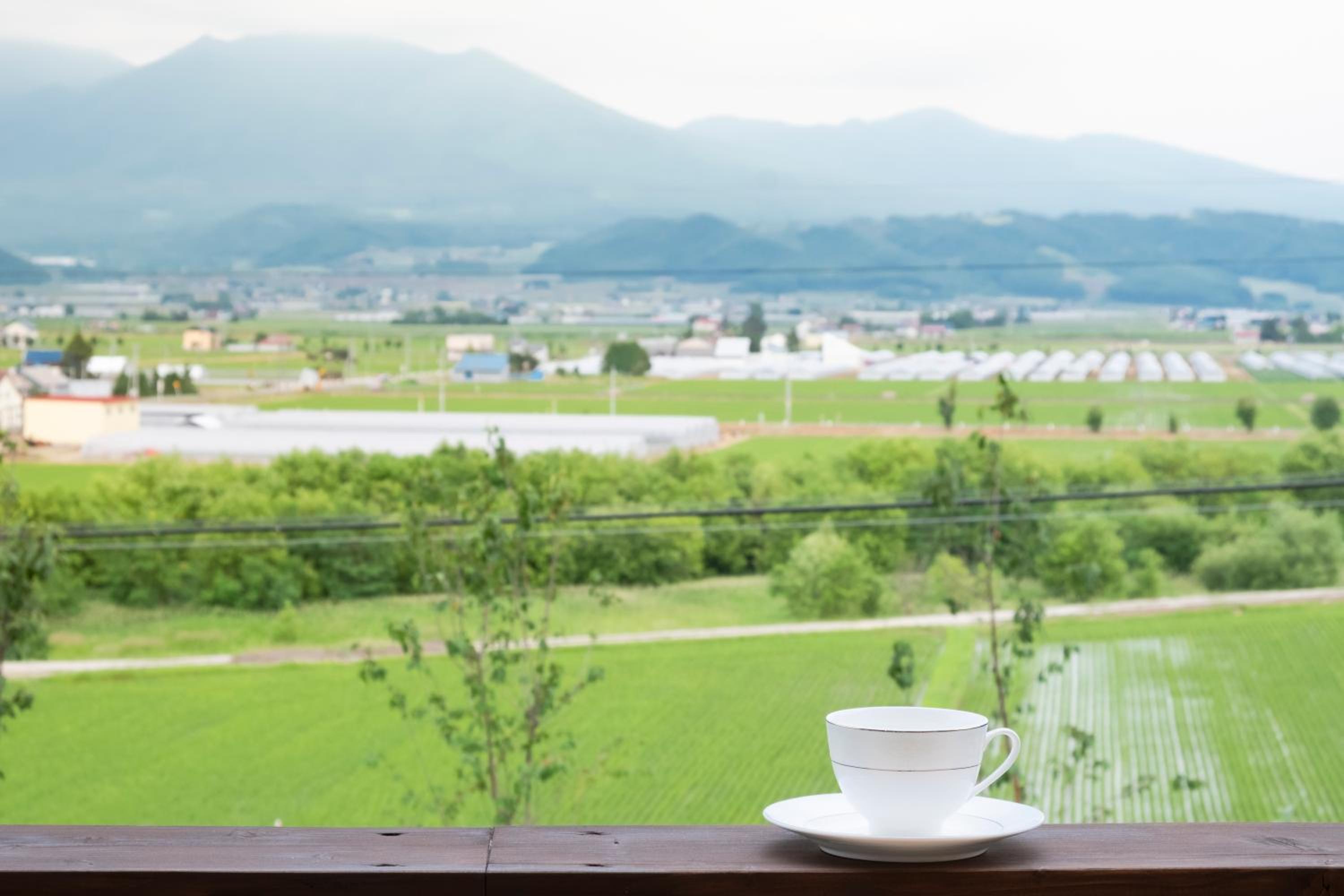 Furano Lookout view 5