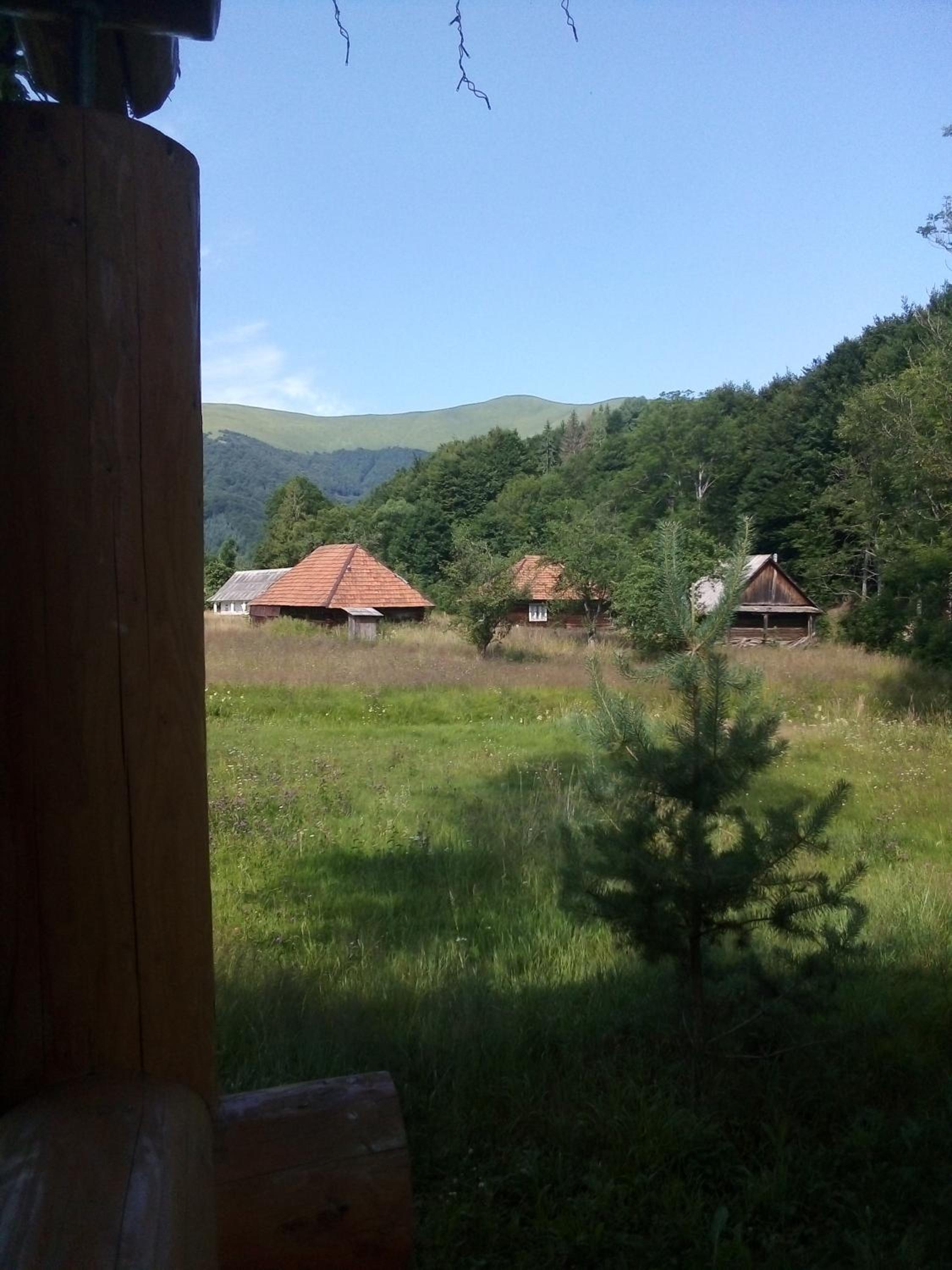 Photo 46