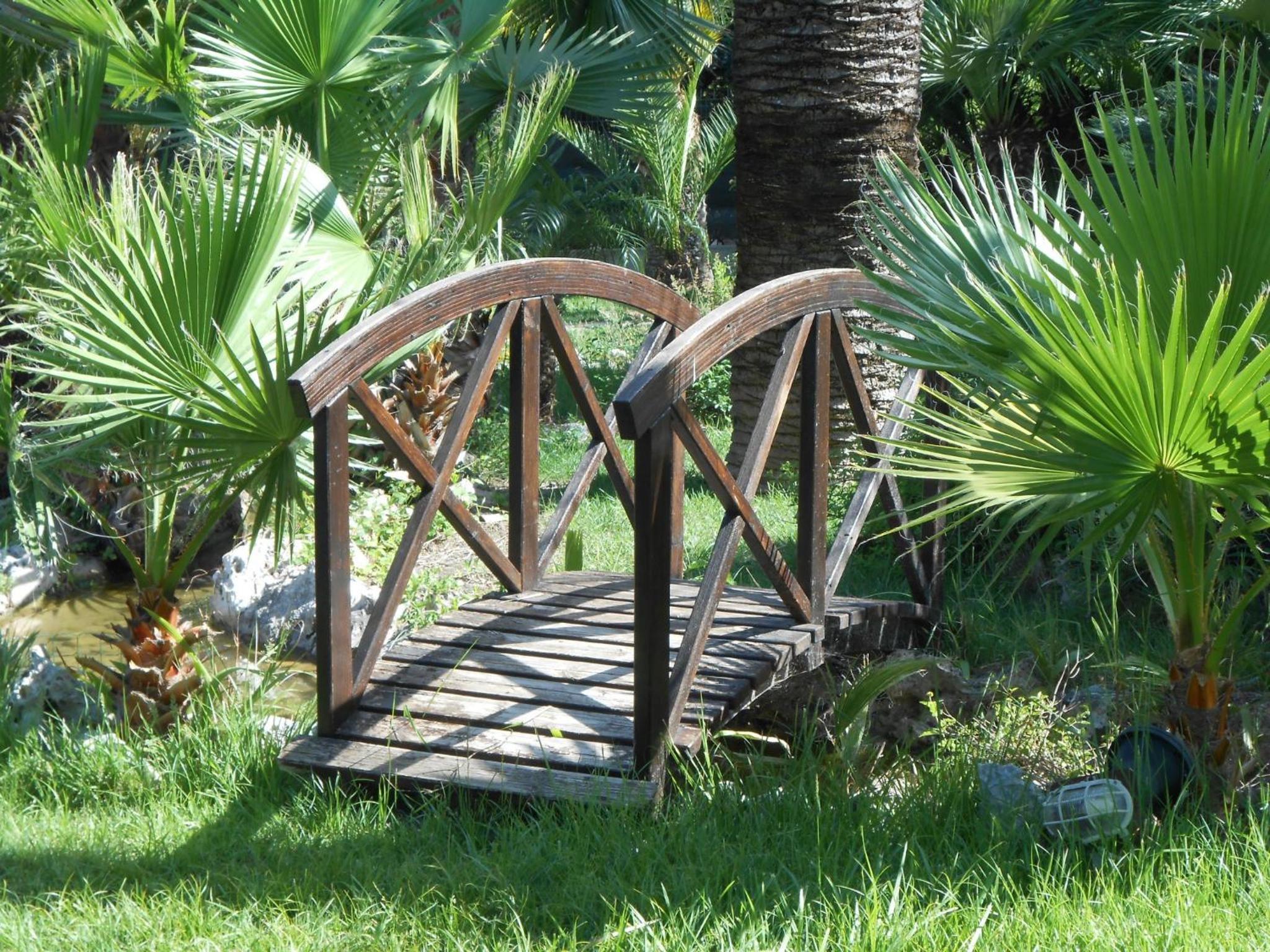 All'Ombra del Palmeto