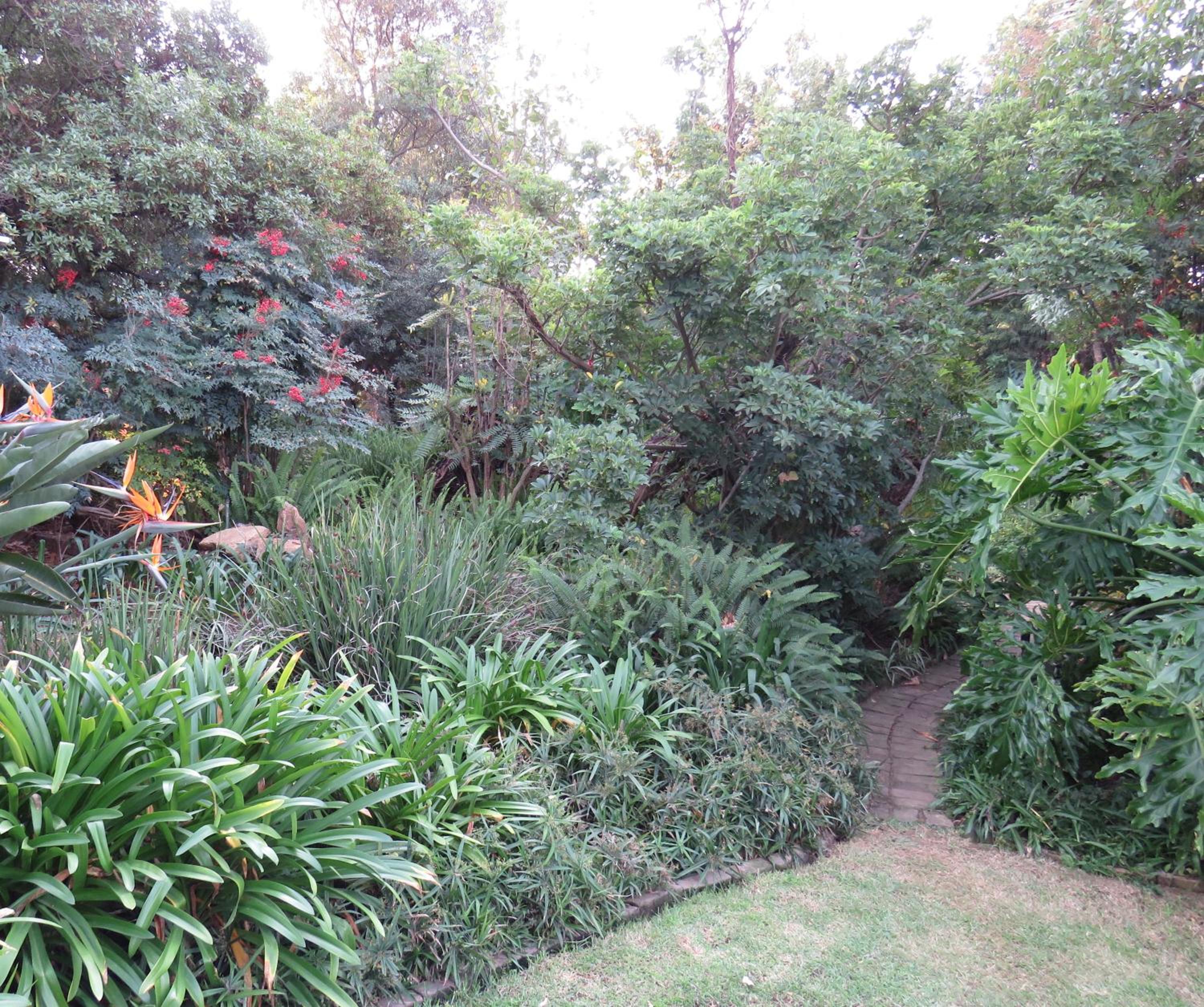 Photo 37