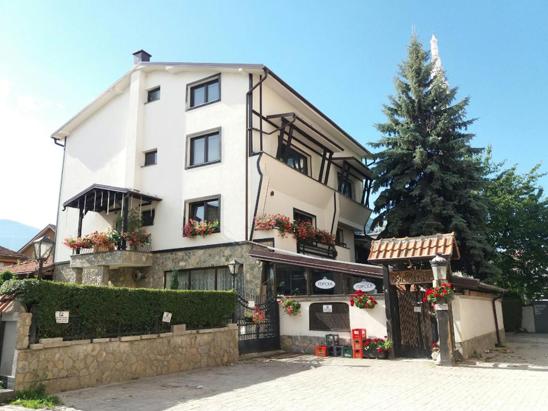Guest house Tivko Katce Gostivar view 4
