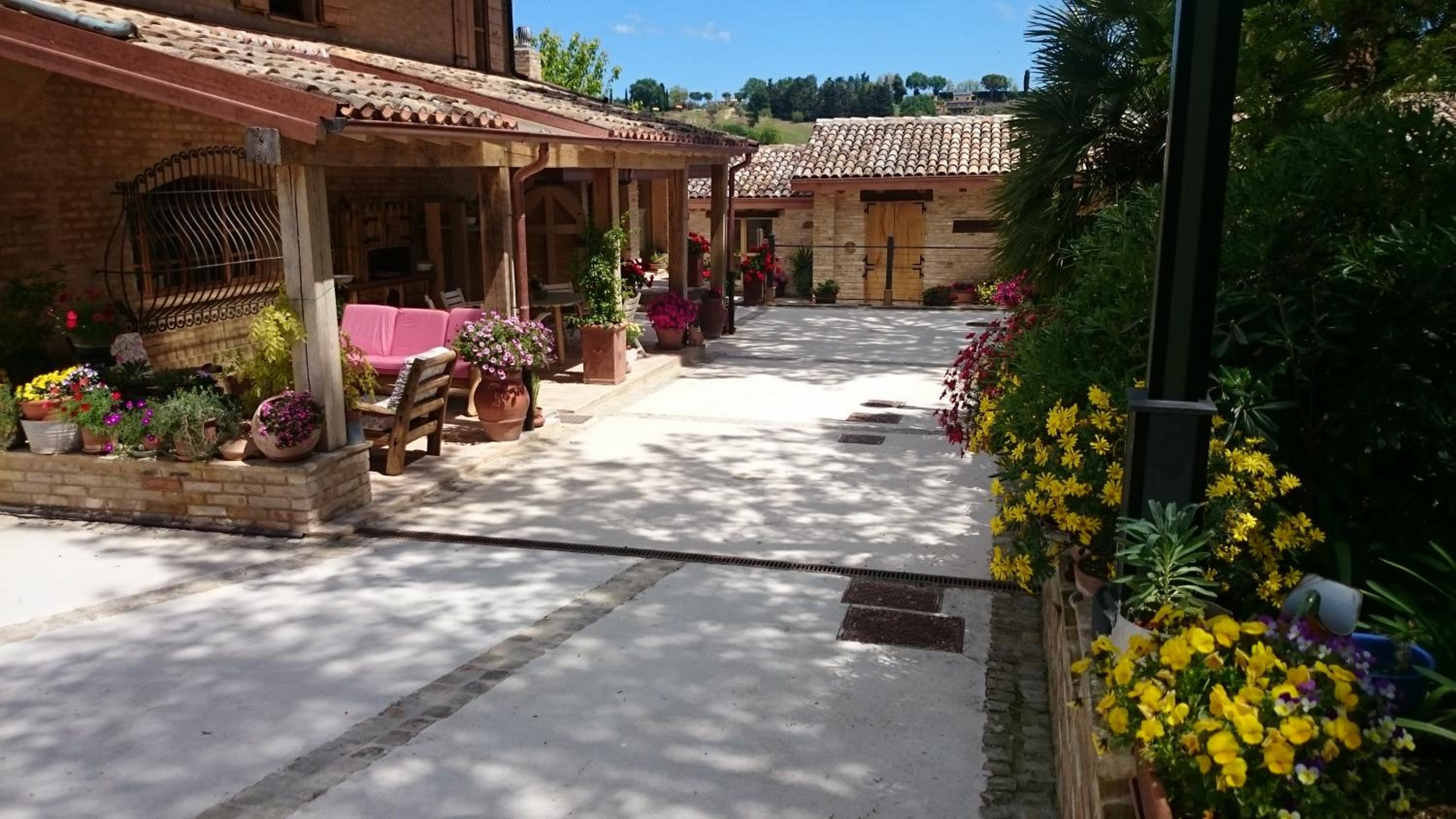 B&B Il Cavallino view 4