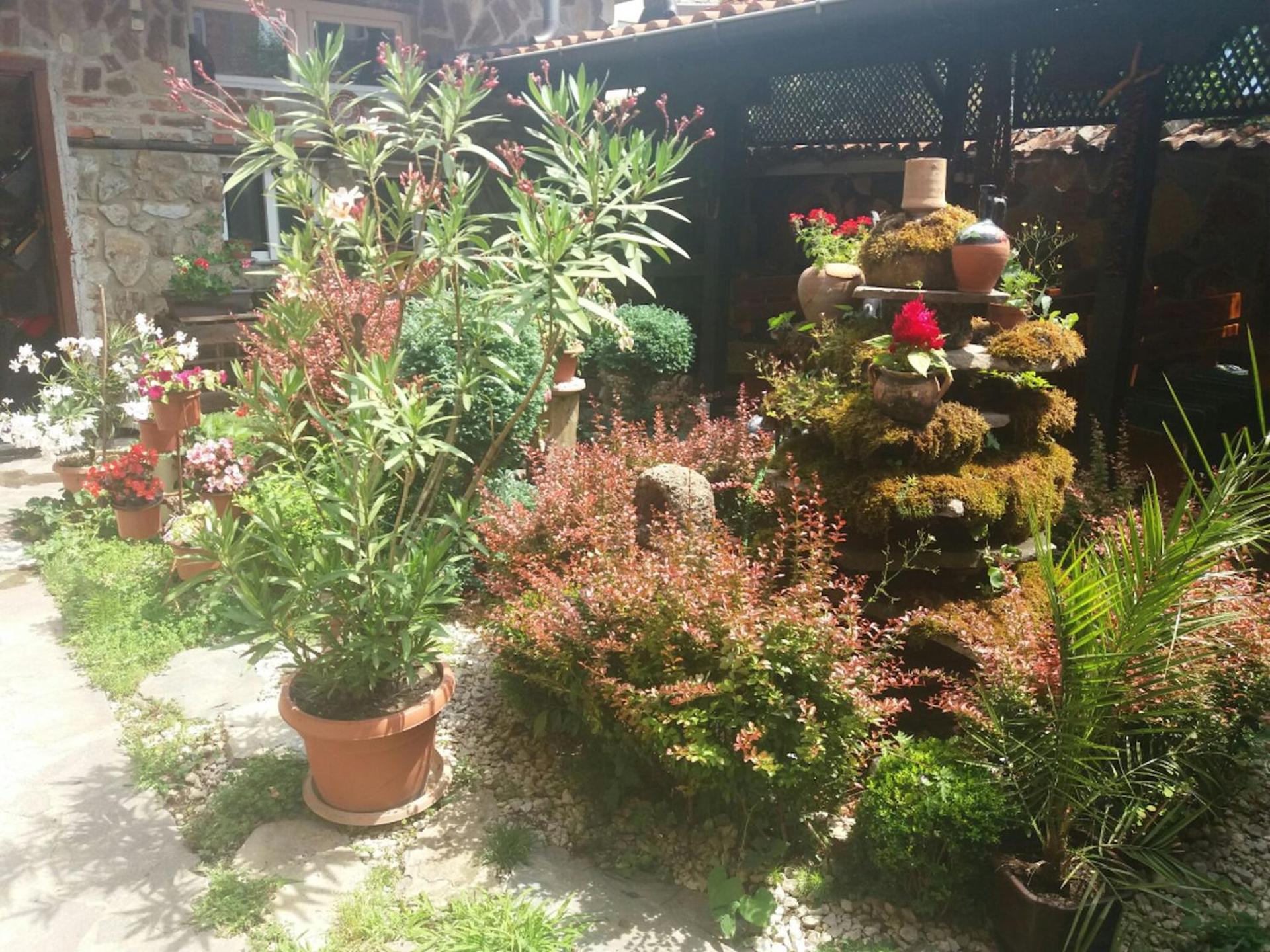 Photo 9