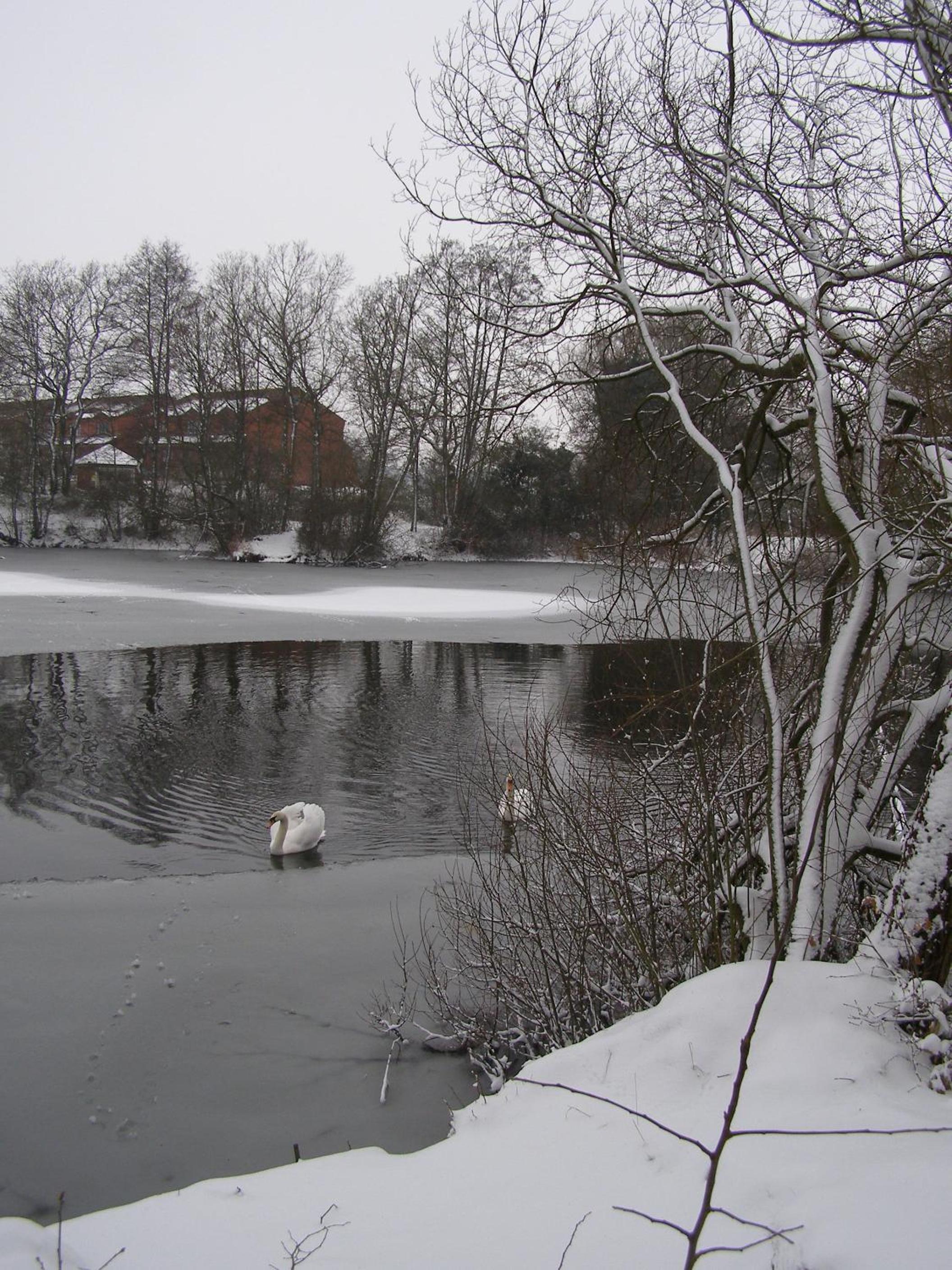 Photo 11