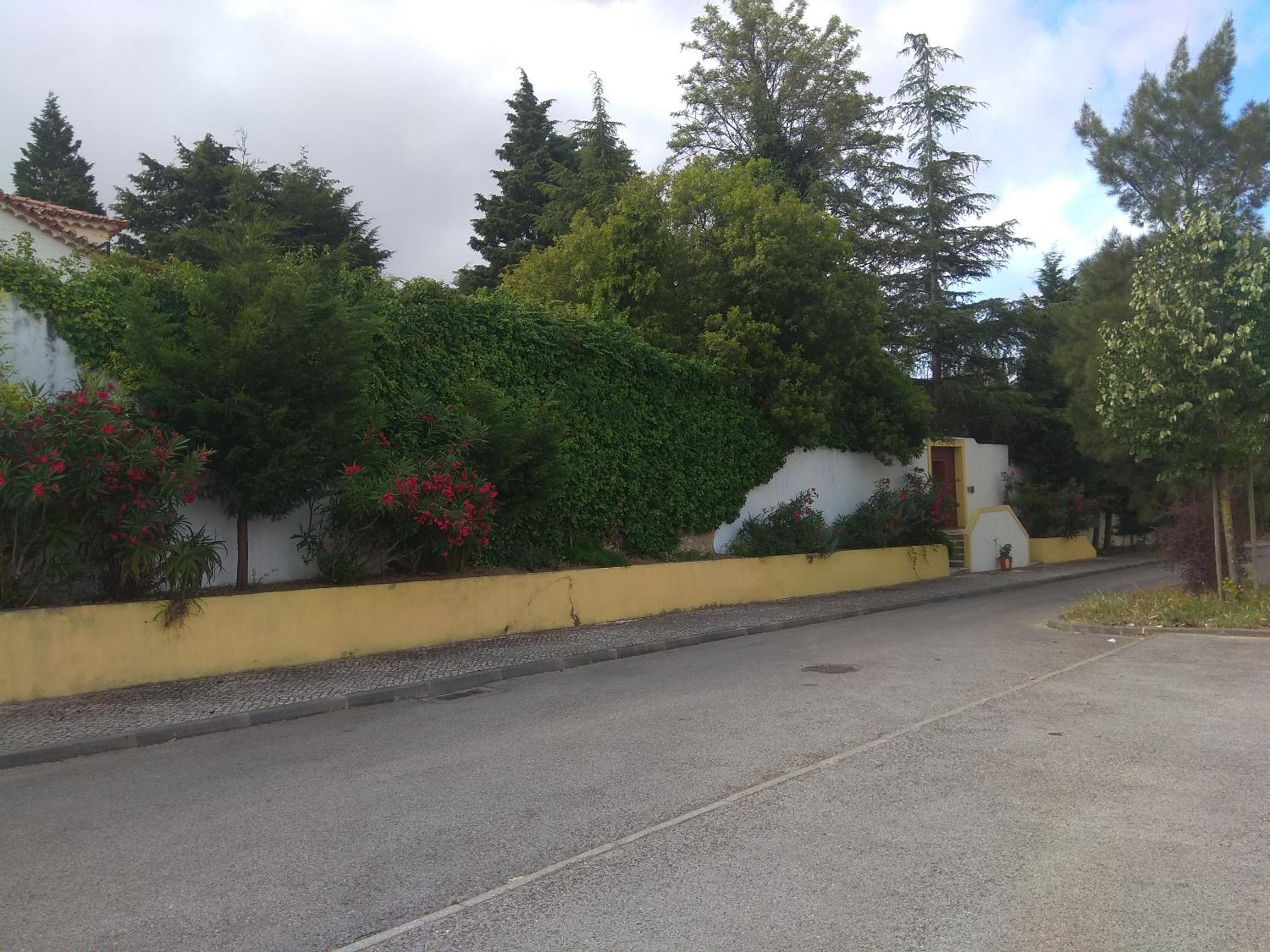 Casa Dos Arrabidos, photo 24