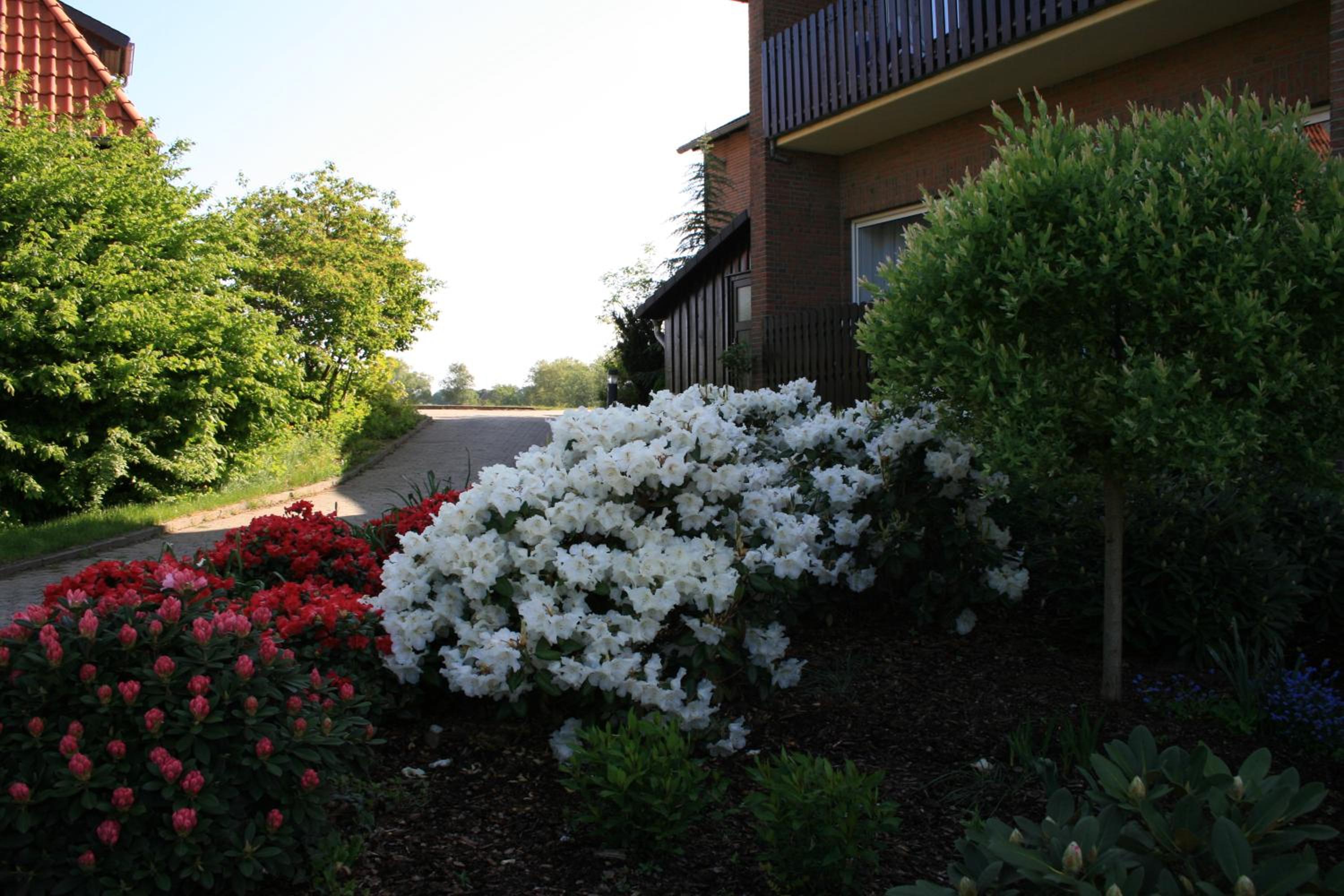 Photo 37