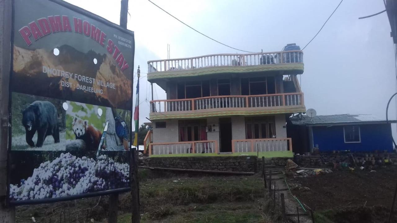 Padma Homestay - Dhotrey view 2