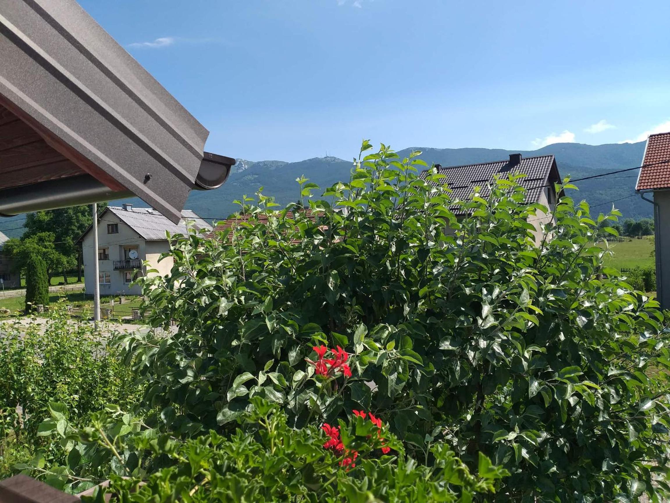 Guest house Ruza view 3
