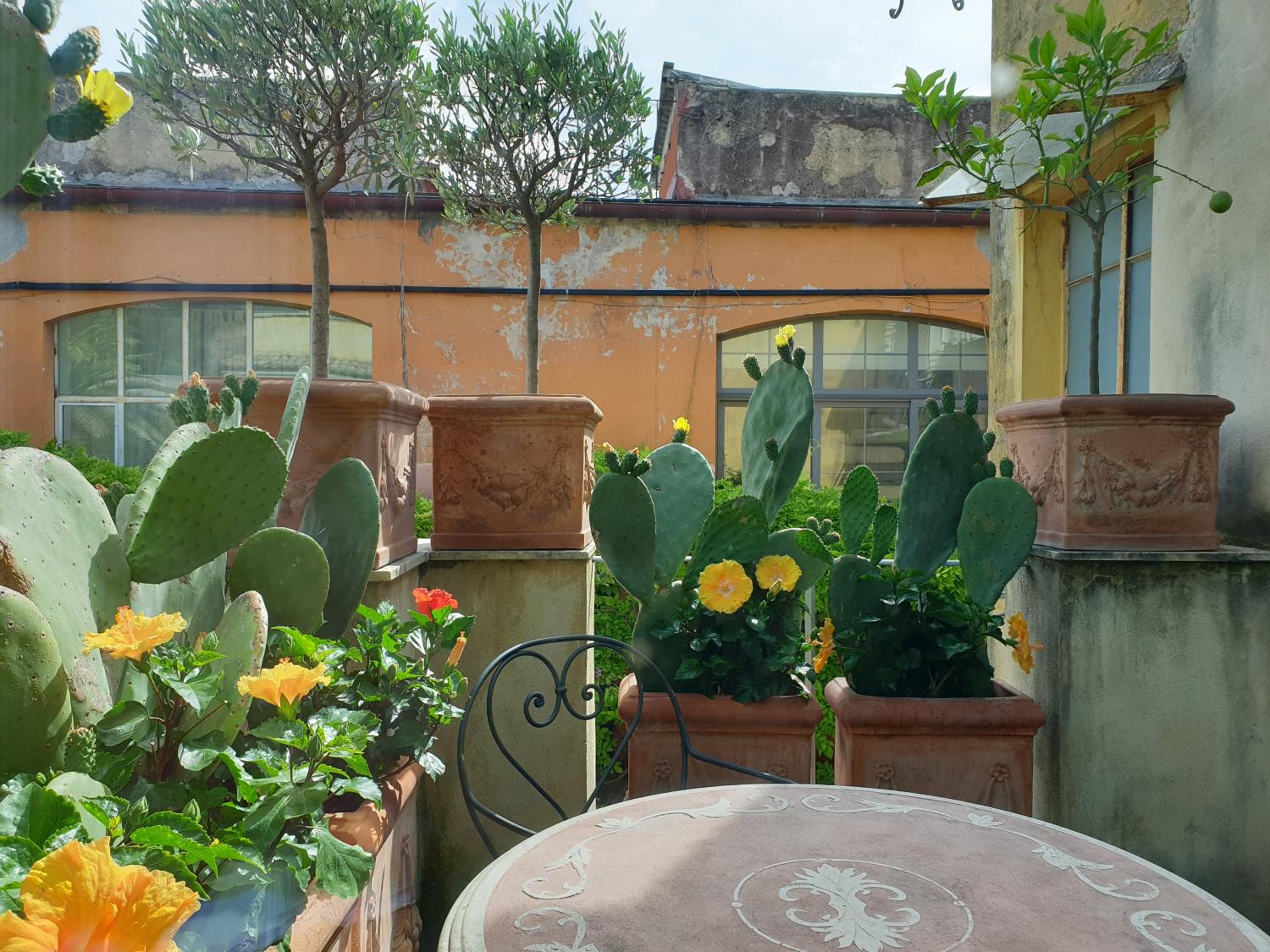 balance & terrace