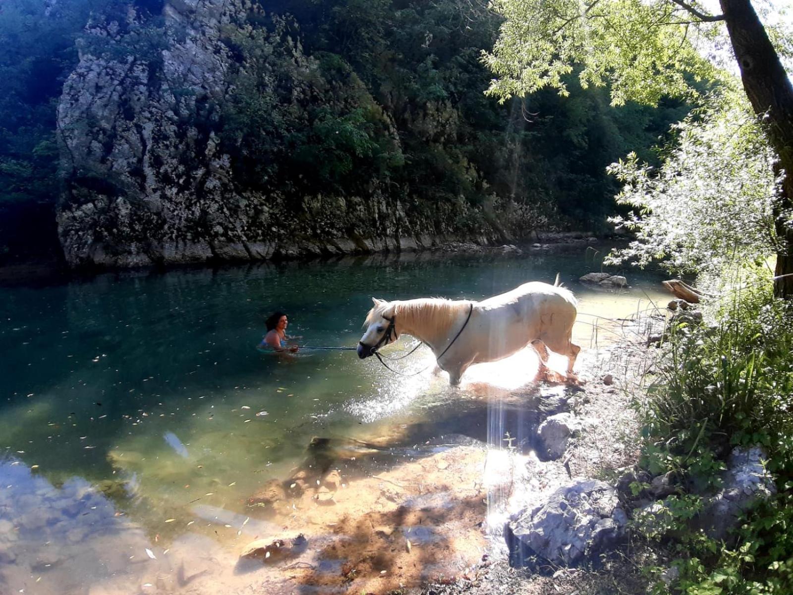 Ranch Terra