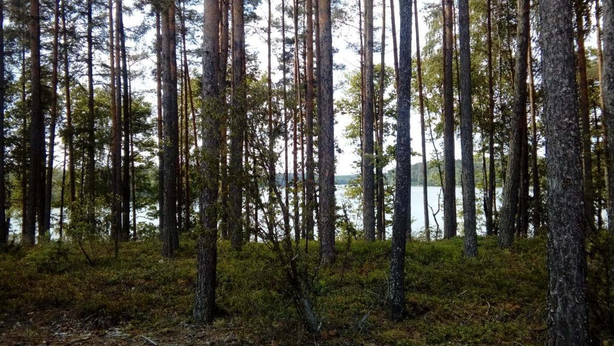 Photo 33