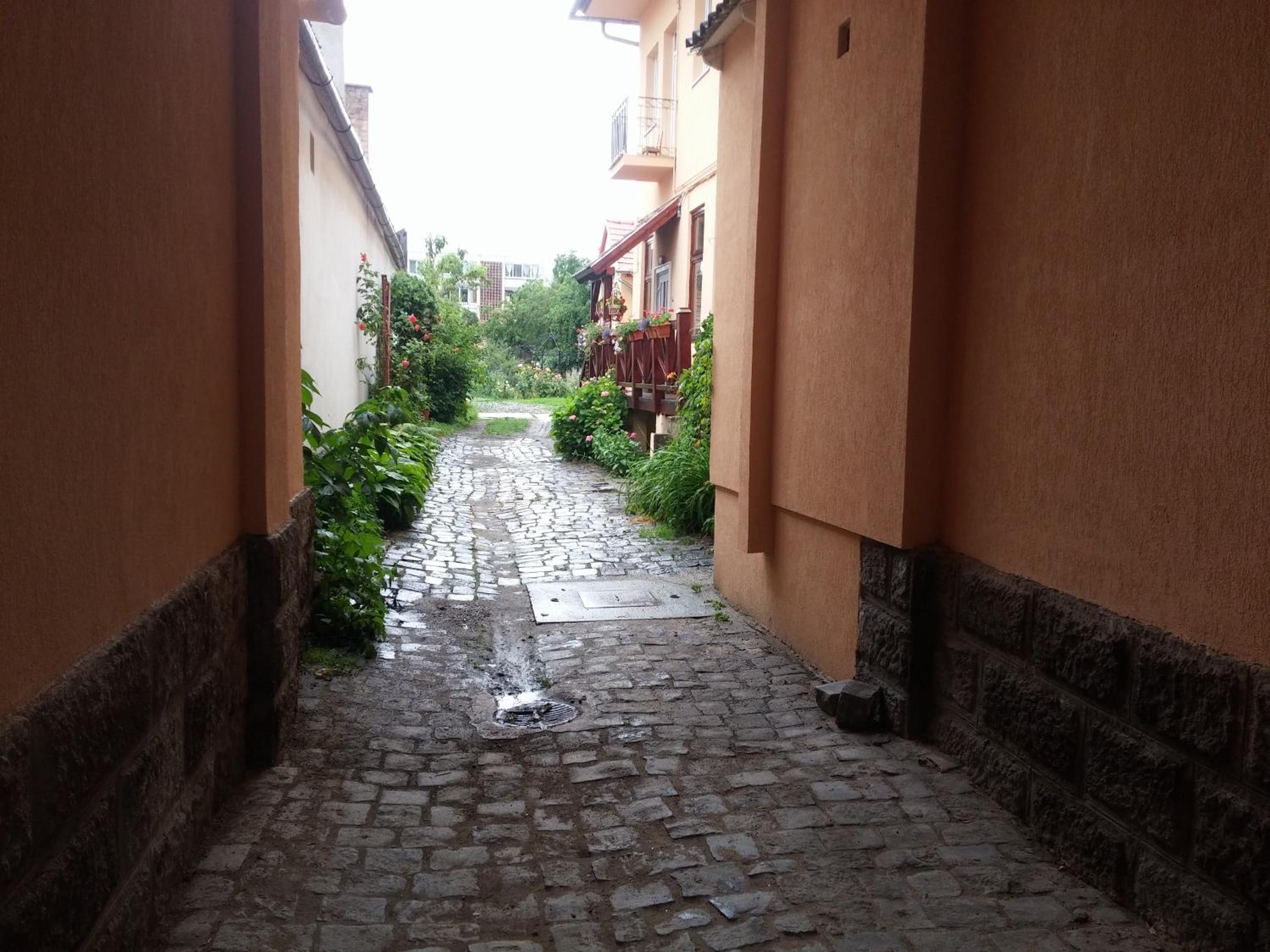 Photo 47