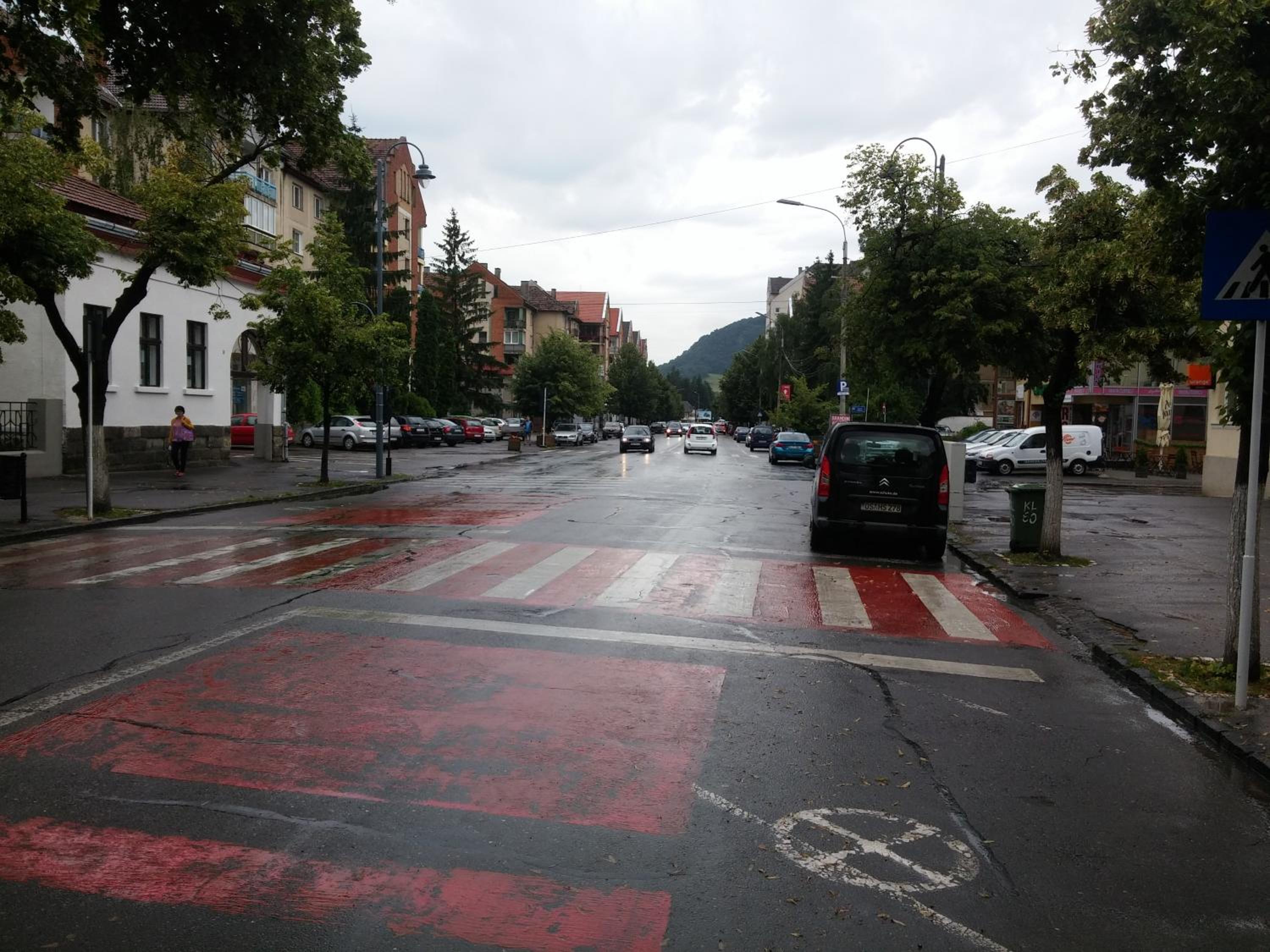 Photo 51
