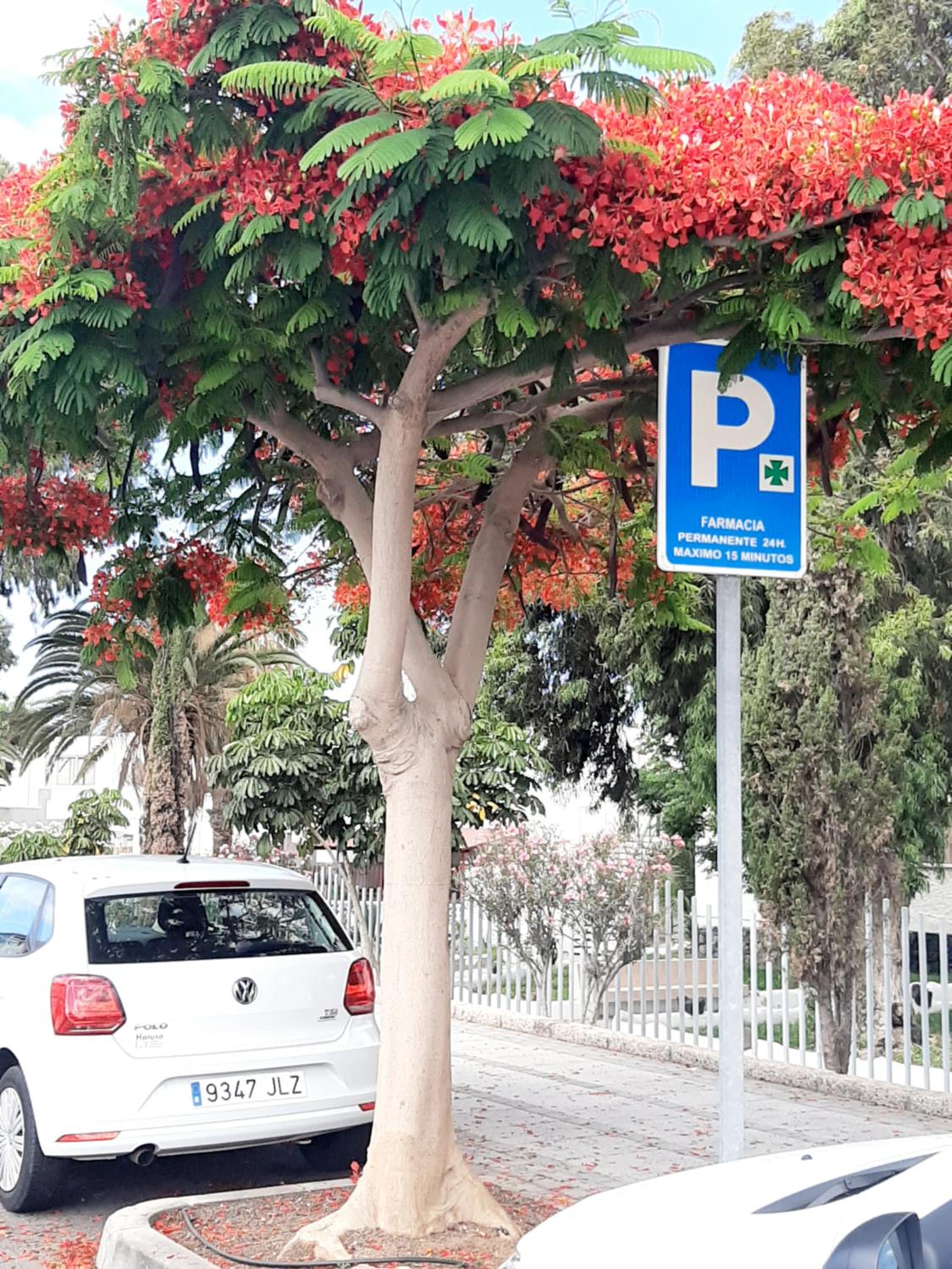 parking