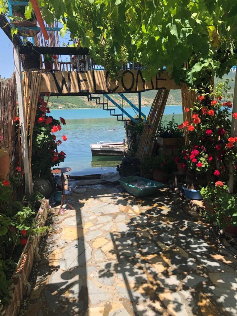 Rosa B&B