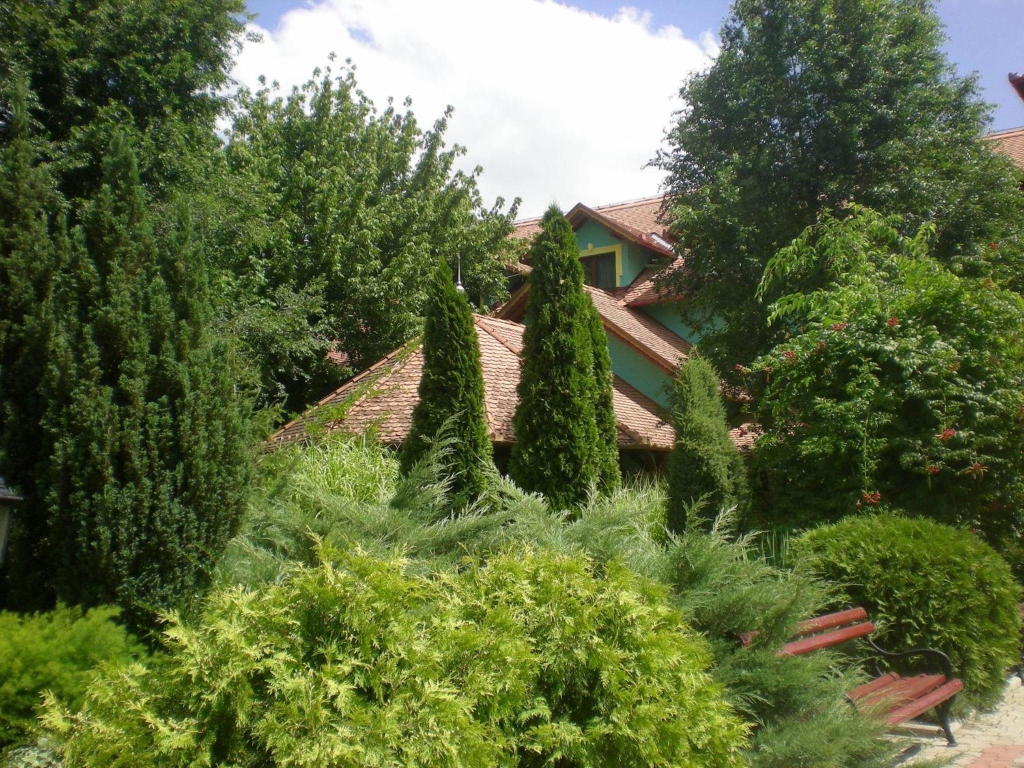 Vinski Dvor view 5
