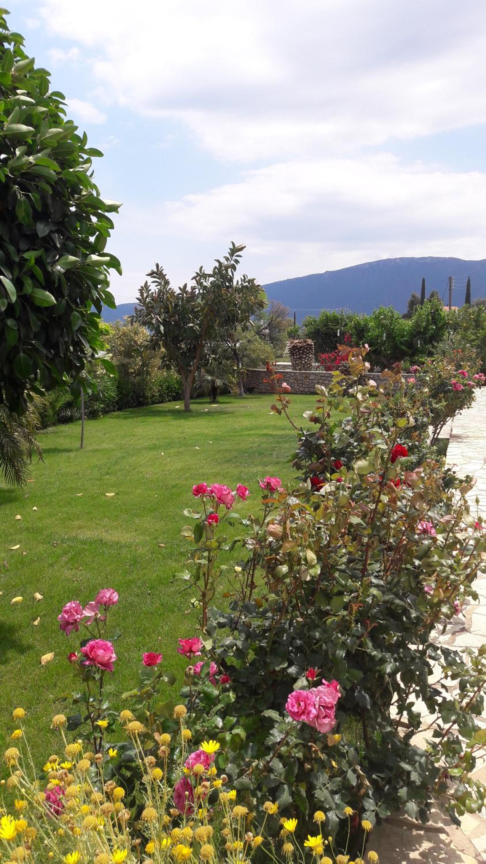 Karantonis House view 4