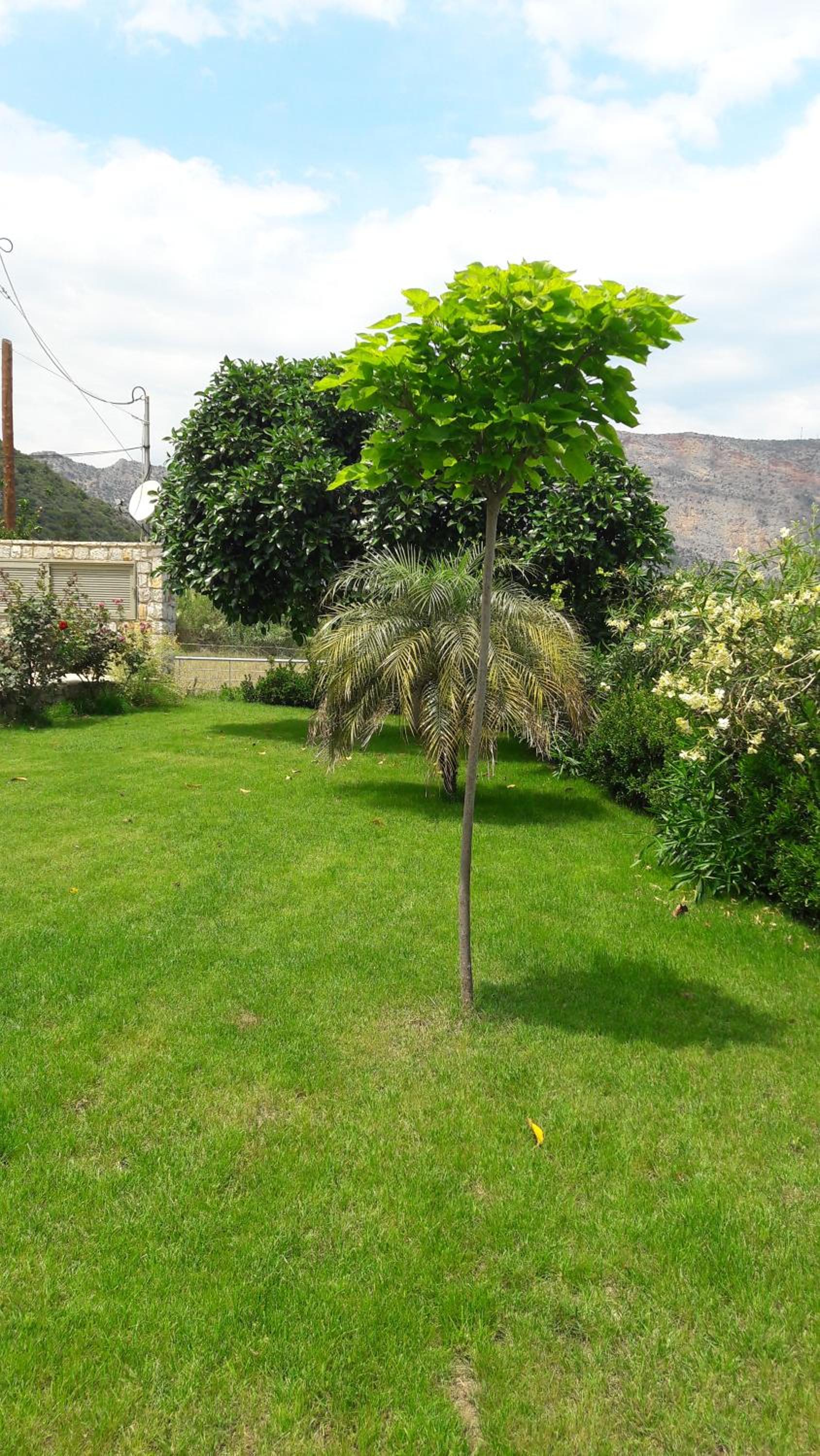Karantonis House view 3