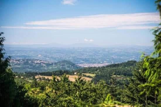 CASA CECCONI (ON THE HILLS OF FLORENCE) photo 4