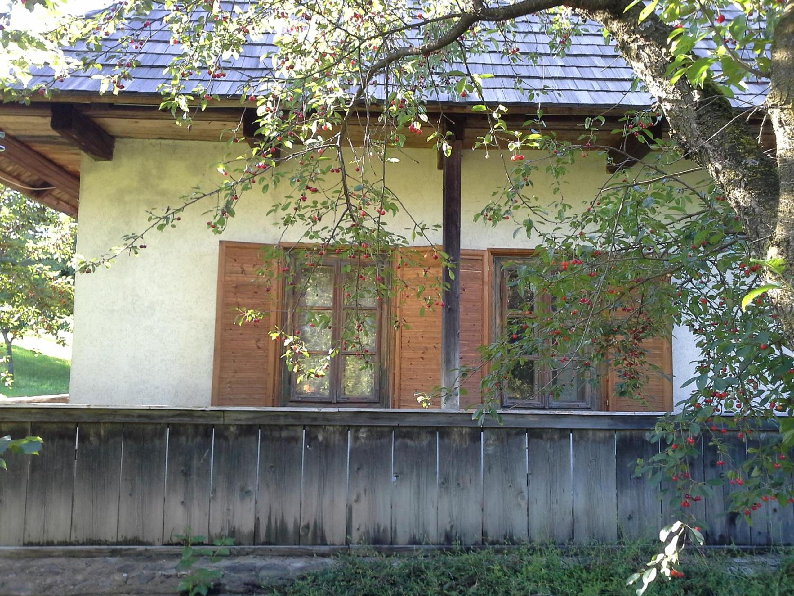Casa Pintea - Bucovina view 5