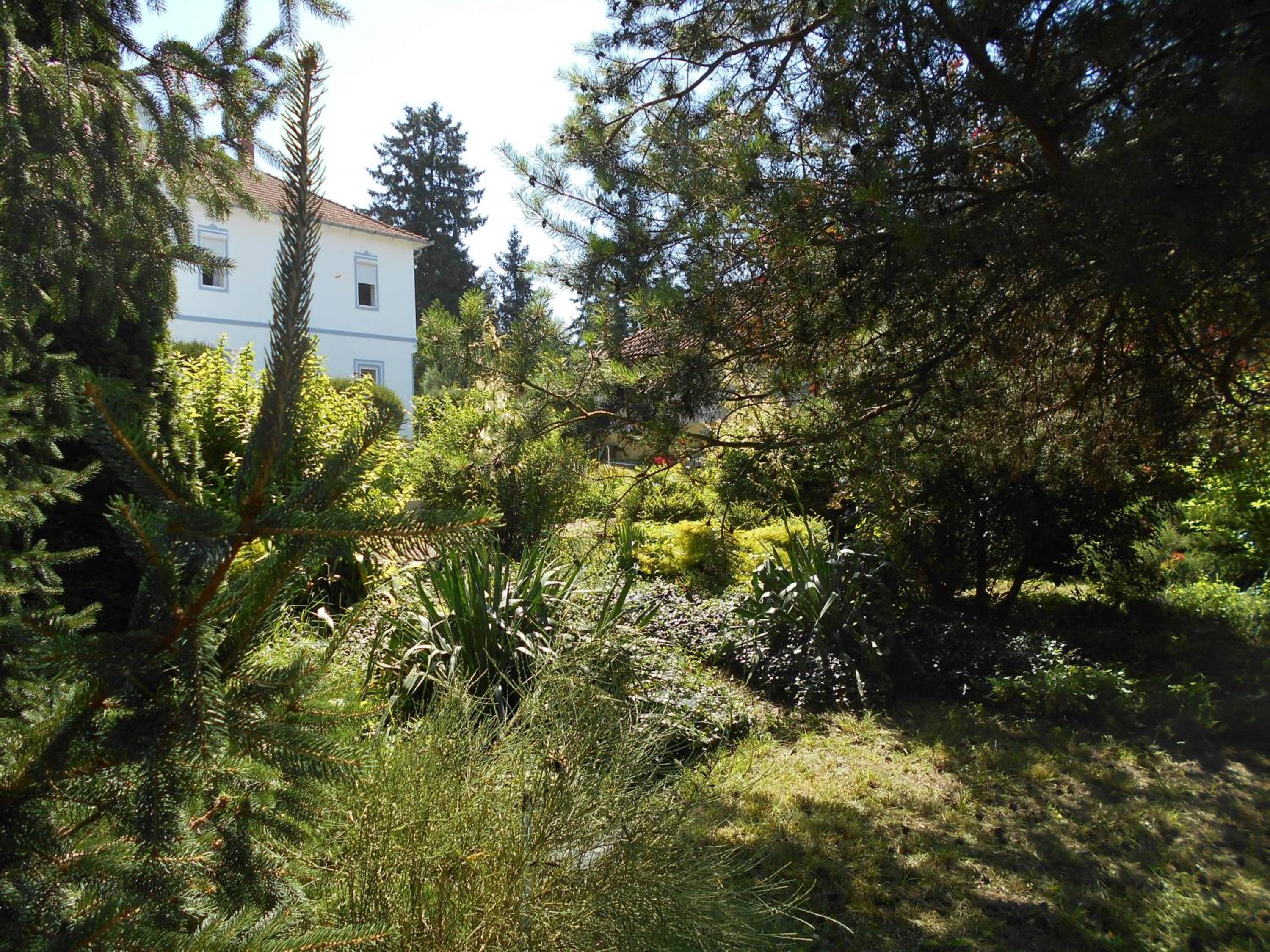 Photo 69