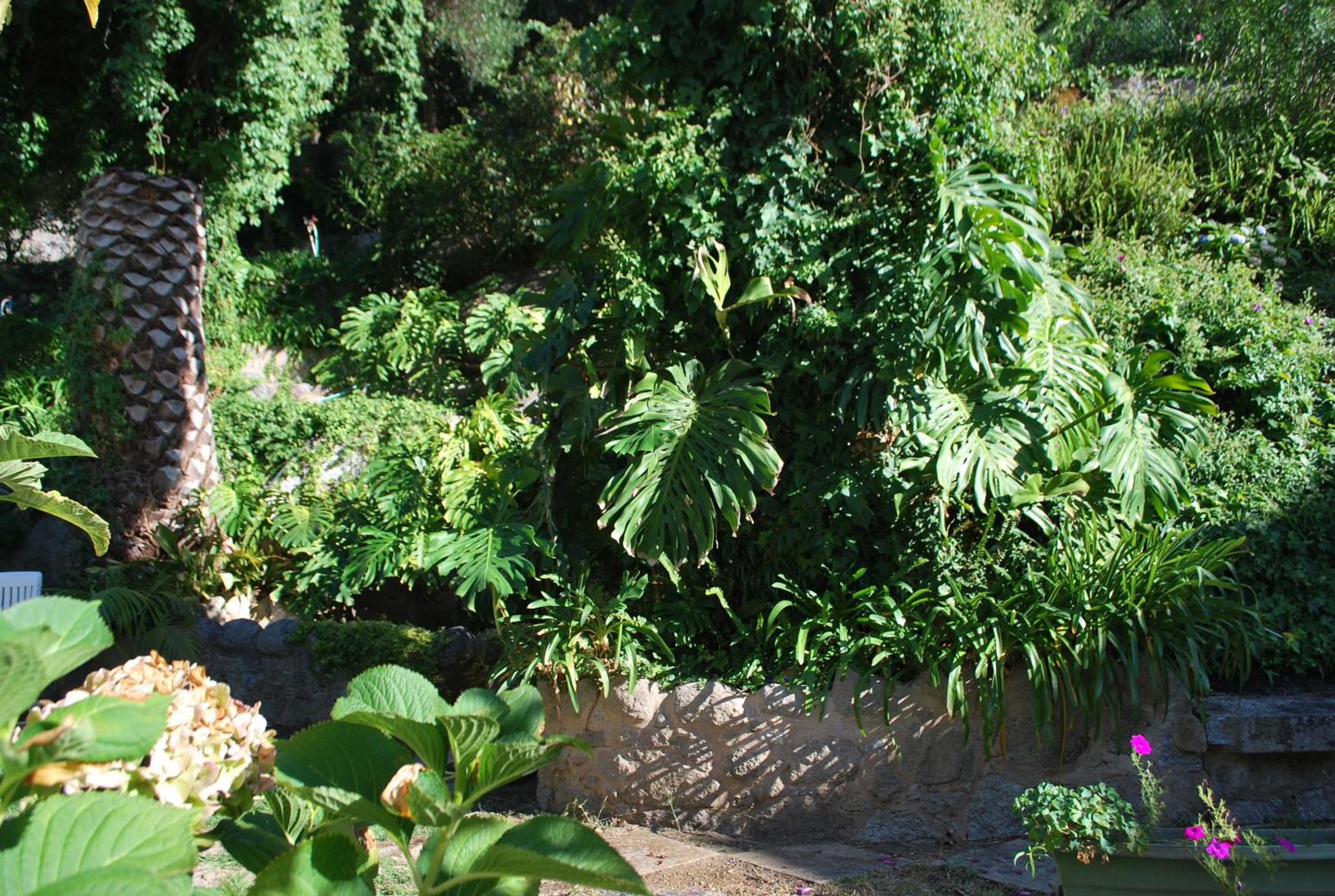 Photo 40