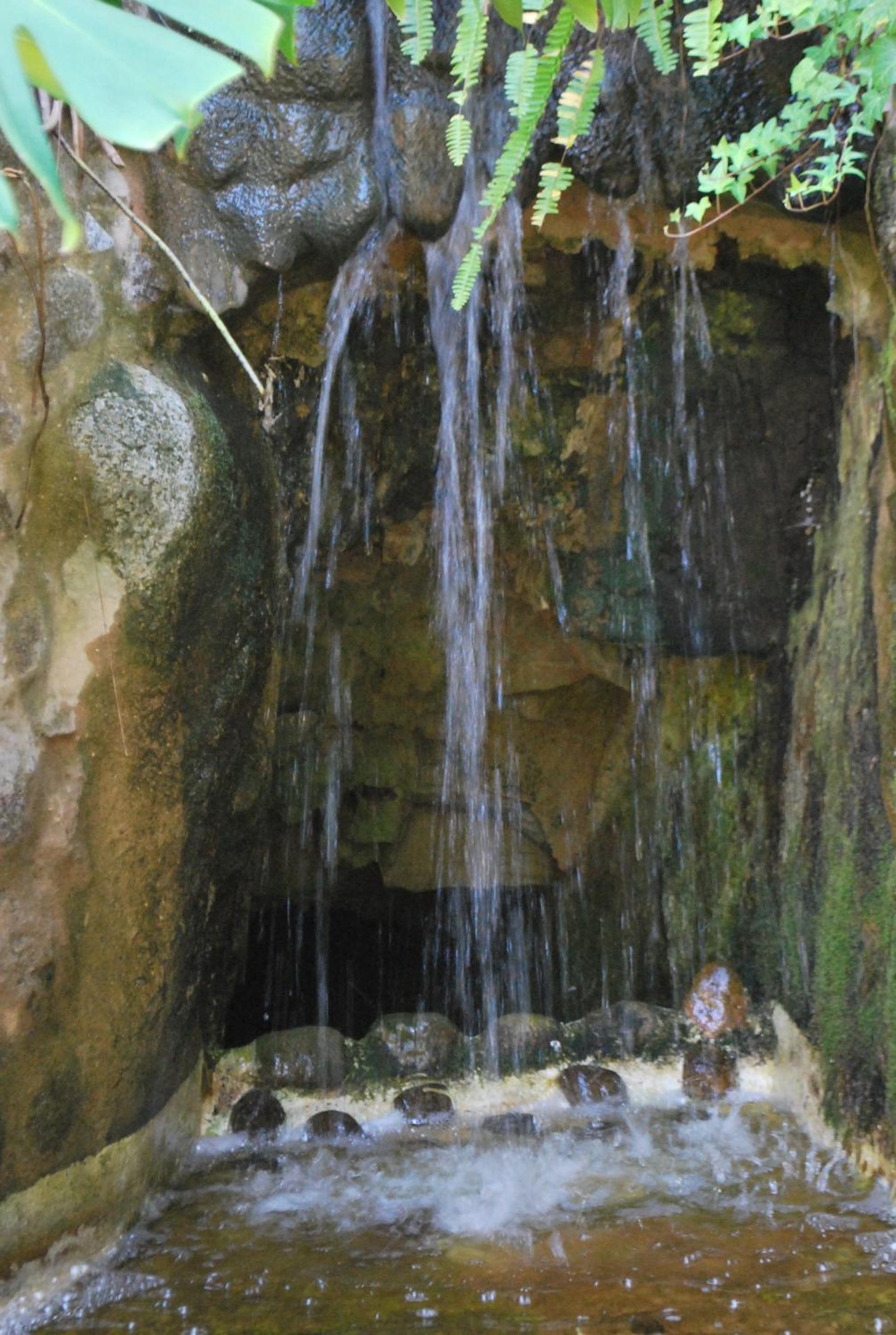 Photo 42