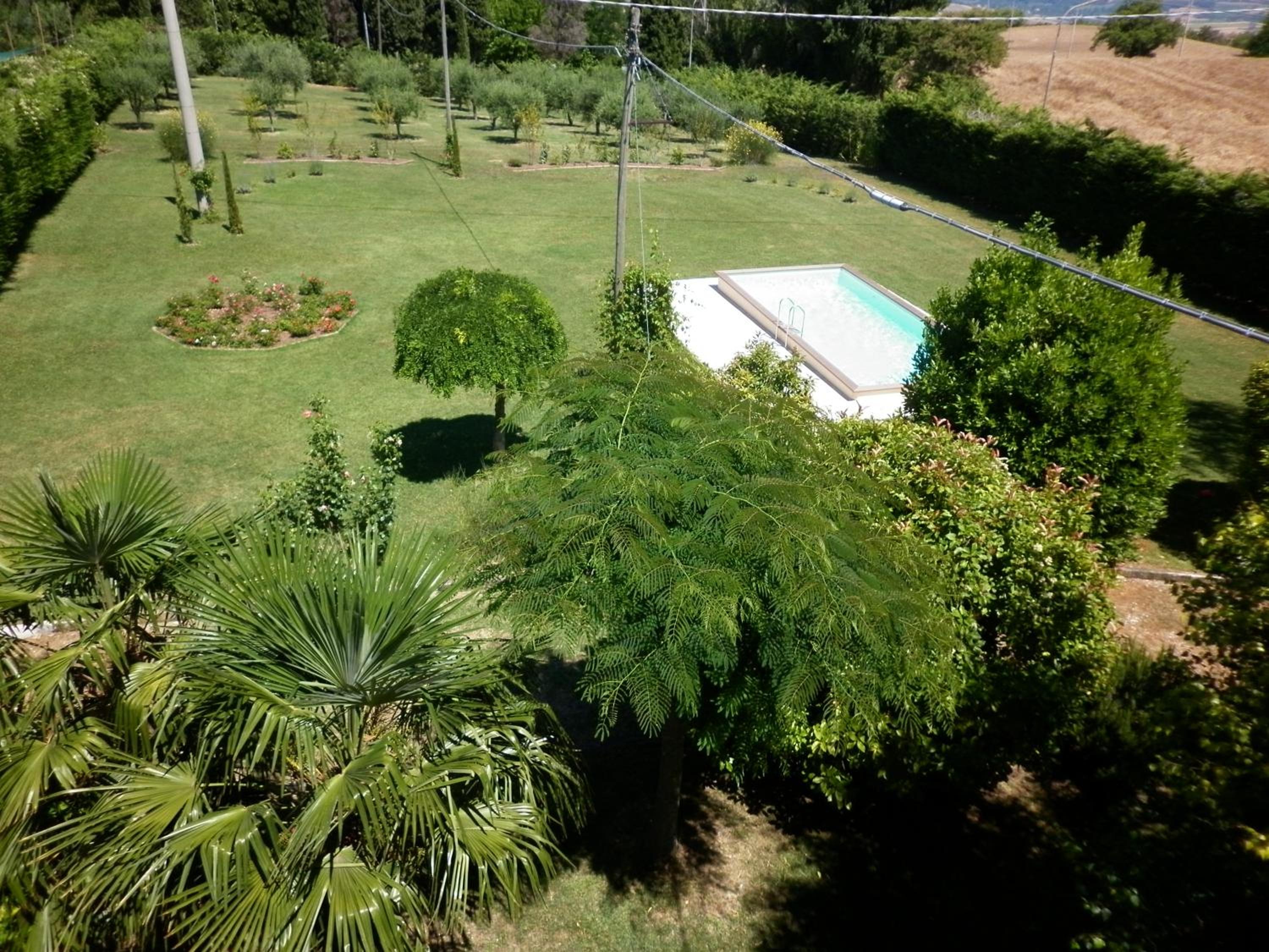 Photo 8