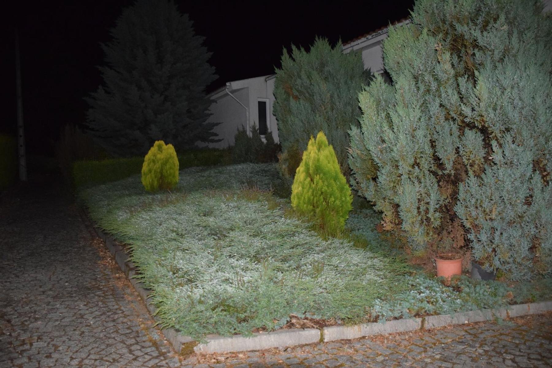 A Casa da Sofia, photo 19