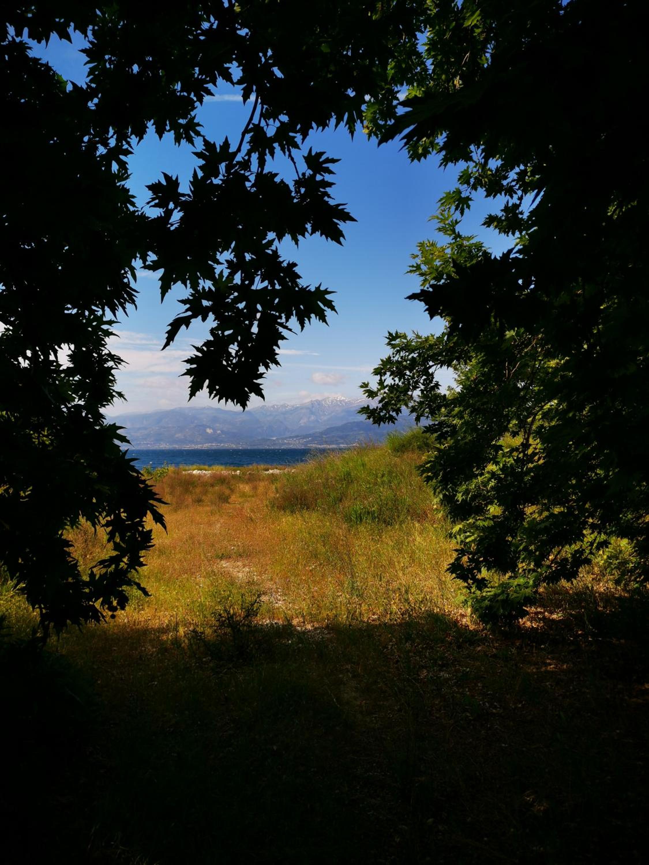 Photo 45