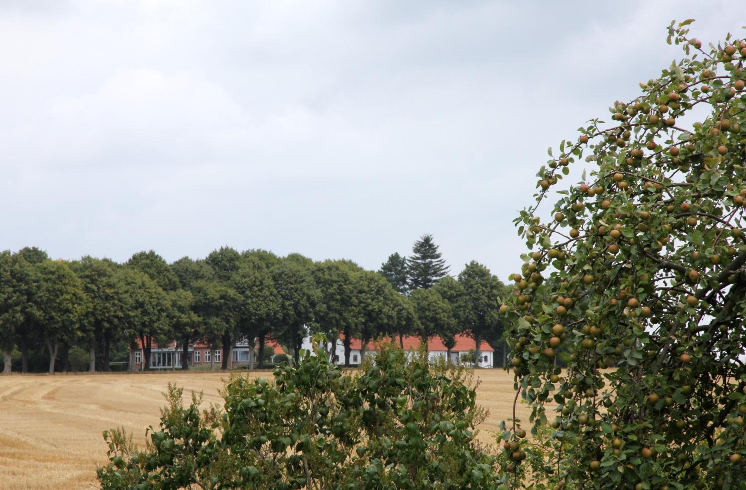 Stevns Klint Strandpension
