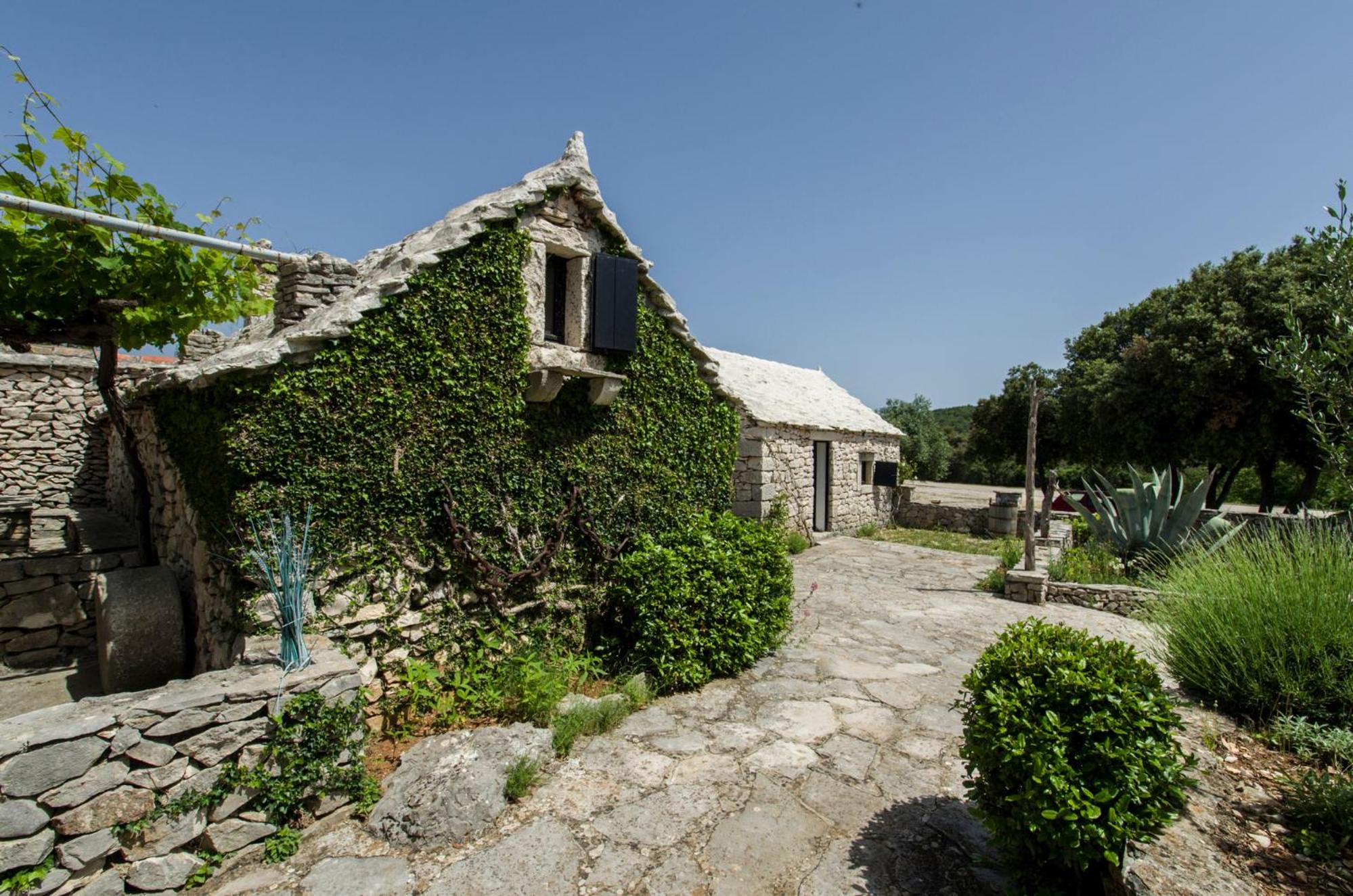 Photo 17