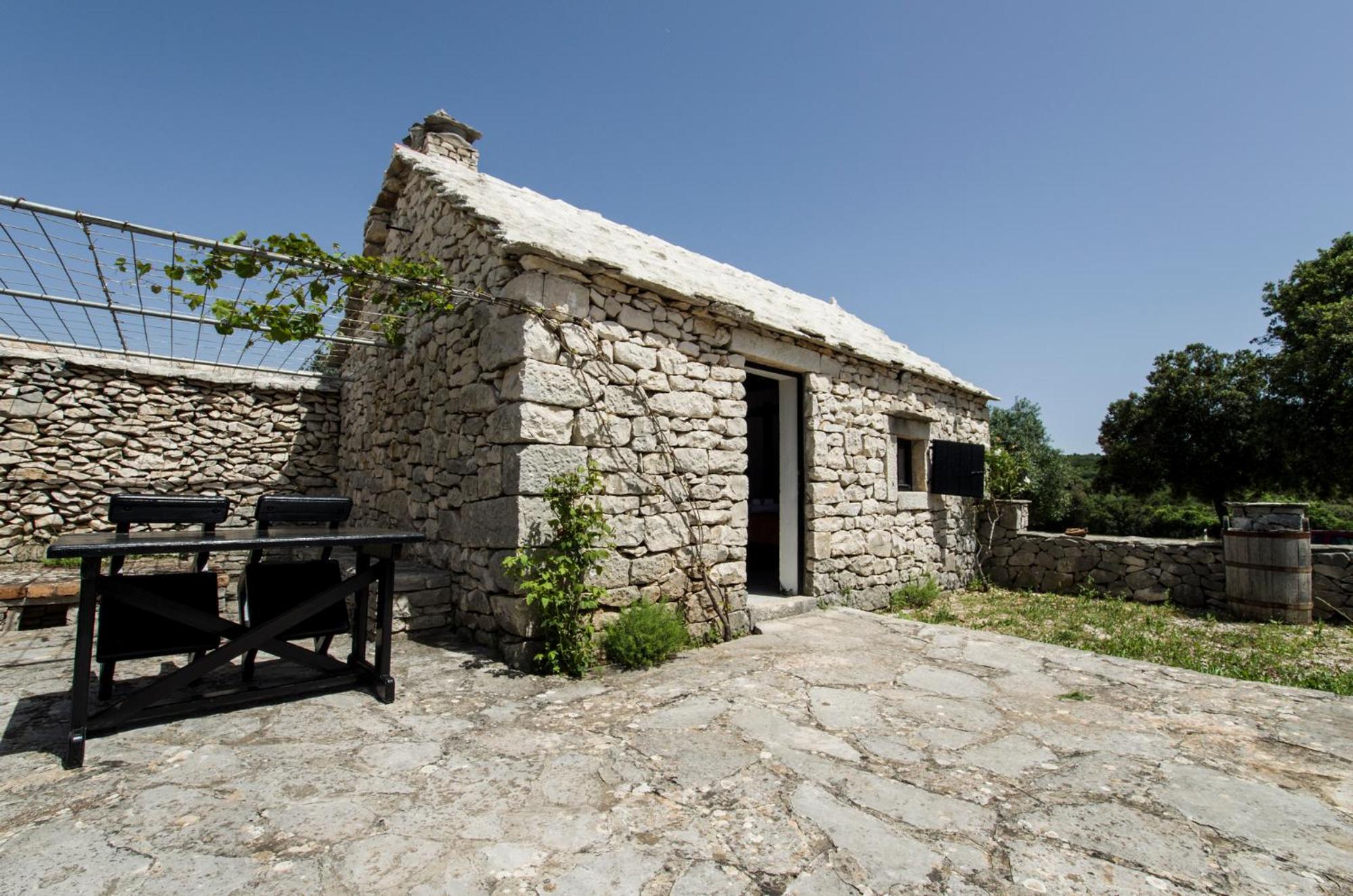 Photo 14